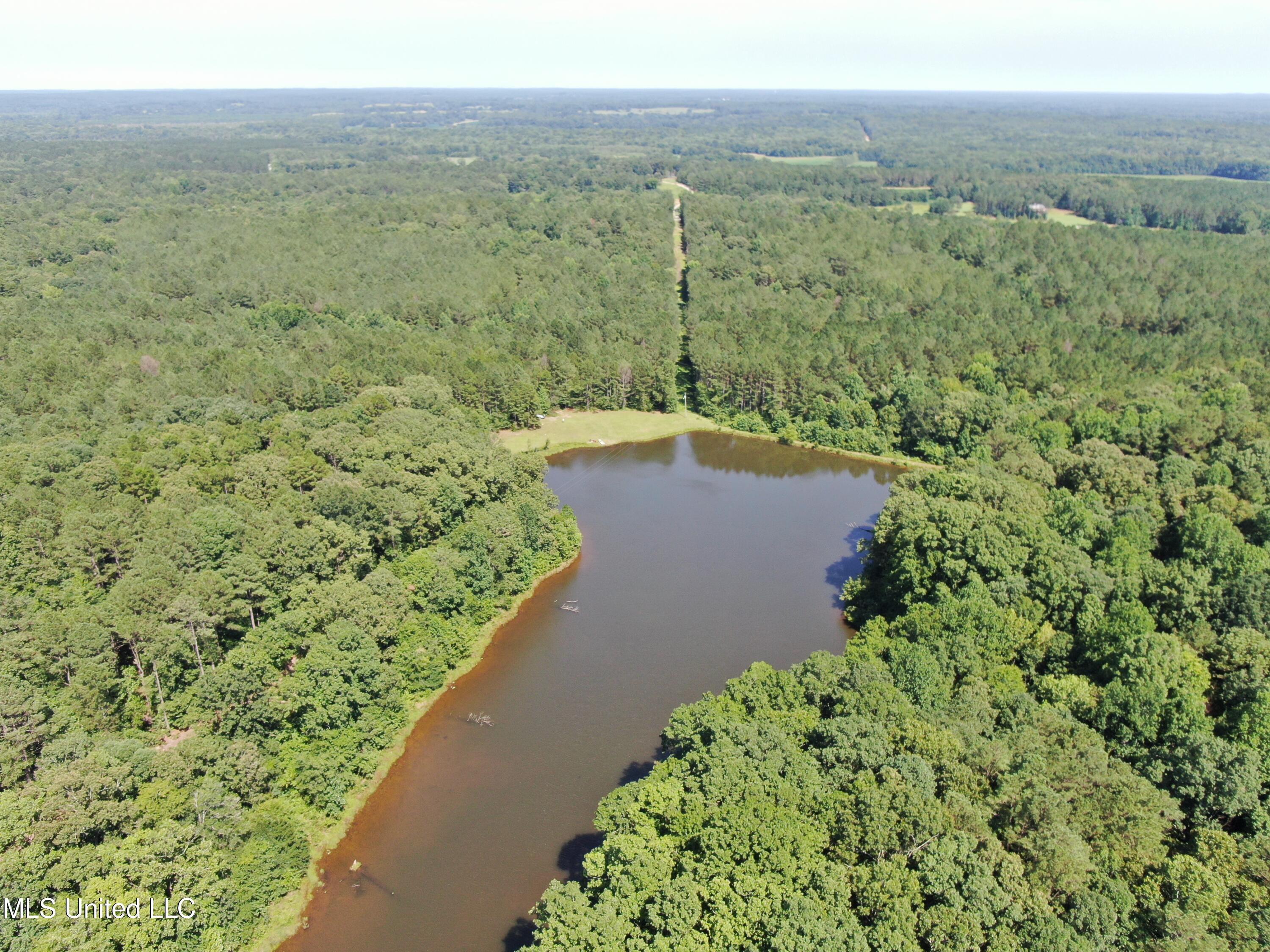 3400 Bethlehem Road Potts Camp, MS 38659 - Photo 1 of 30 land