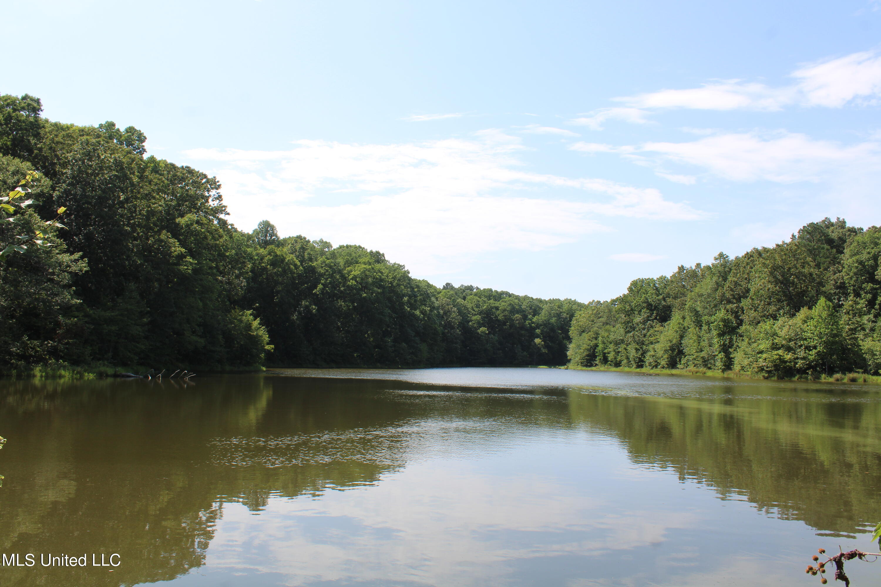 3400 Bethlehem Road Potts Camp, MS 38659 - Photo 14 of 30 IMG_1816