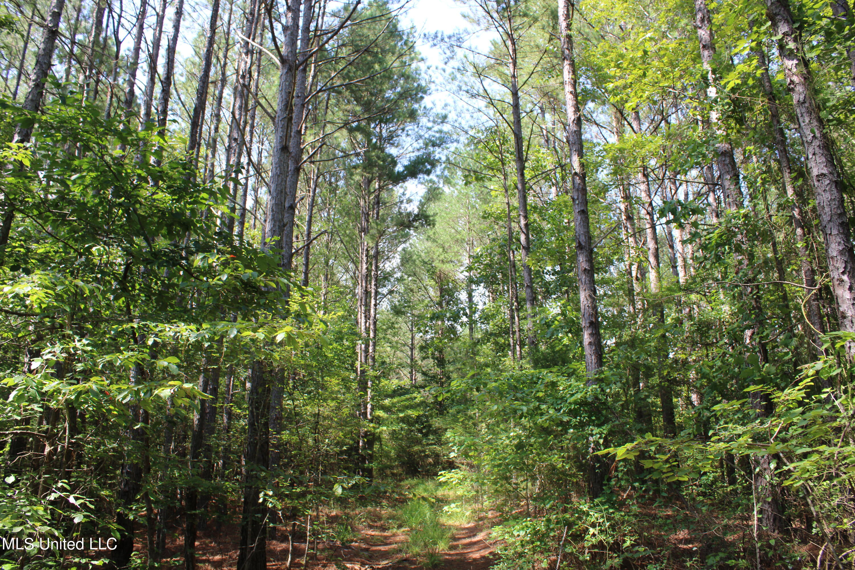 3400 Bethlehem Road Potts Camp, MS 38659 - Photo 15 of 30 IMG_1818