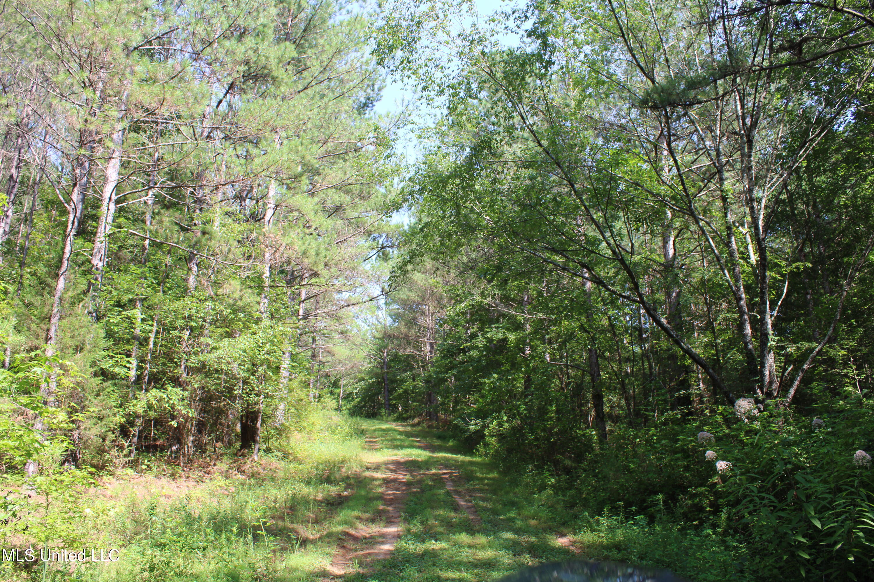 3400 Bethlehem Road Potts Camp, MS 38659 - Photo 17 of 30 IMG_1824