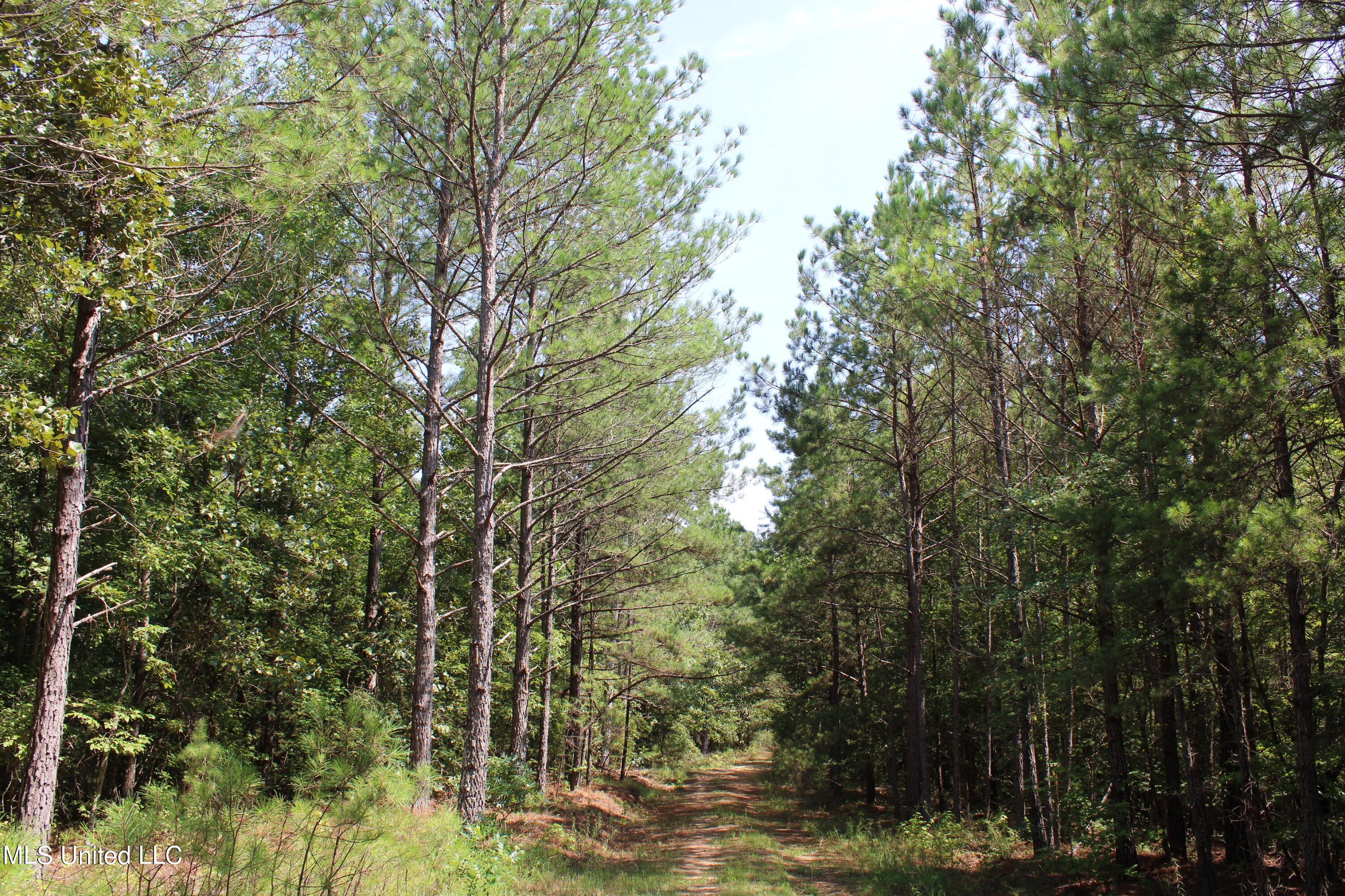 3400 Bethlehem Road Potts Camp, MS 38659 - Photo 19 of 30 IMG_1802