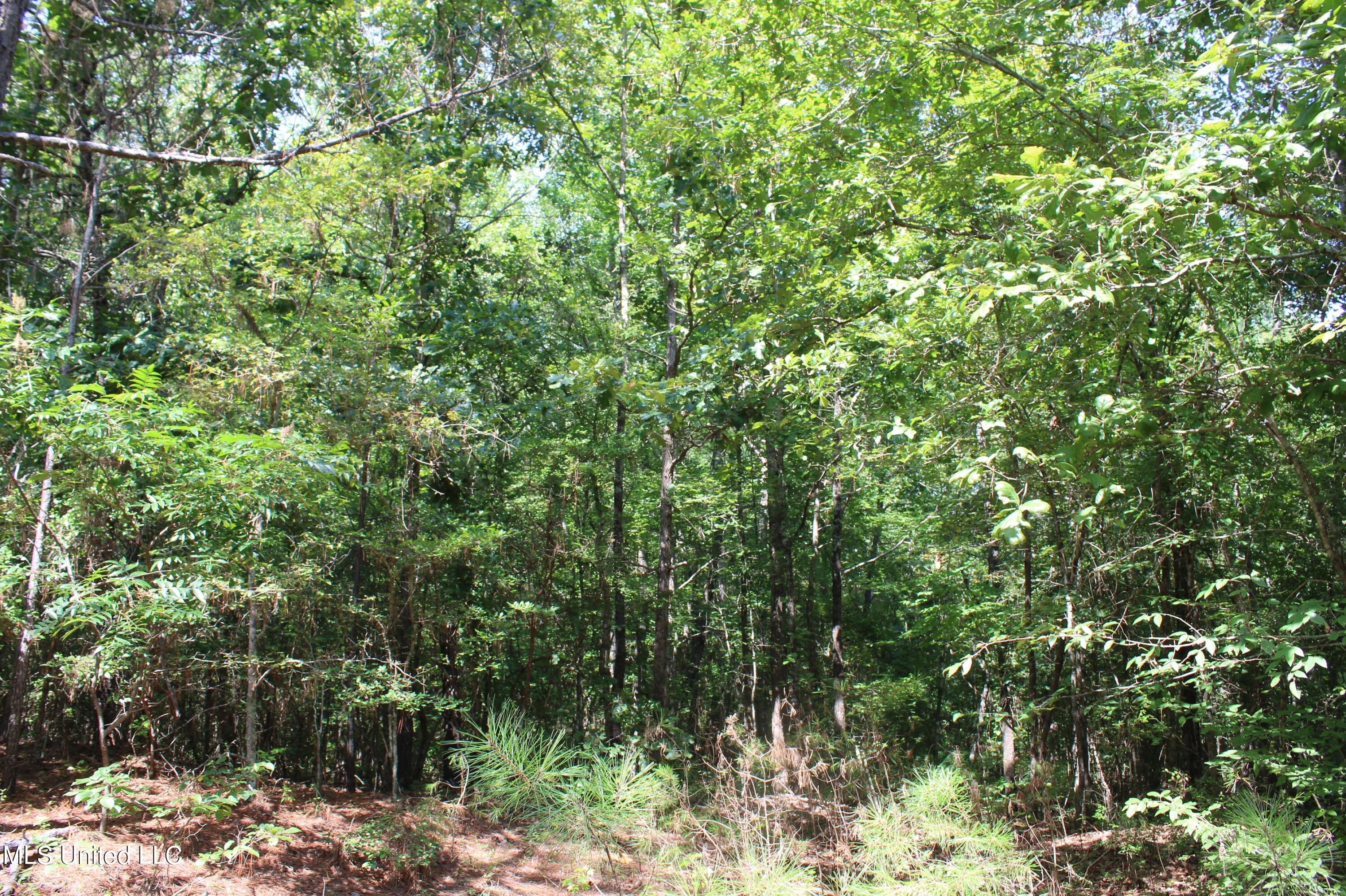 3400 Bethlehem Road Potts Camp, MS 38659 - Photo 20 of 30 IMG_1803