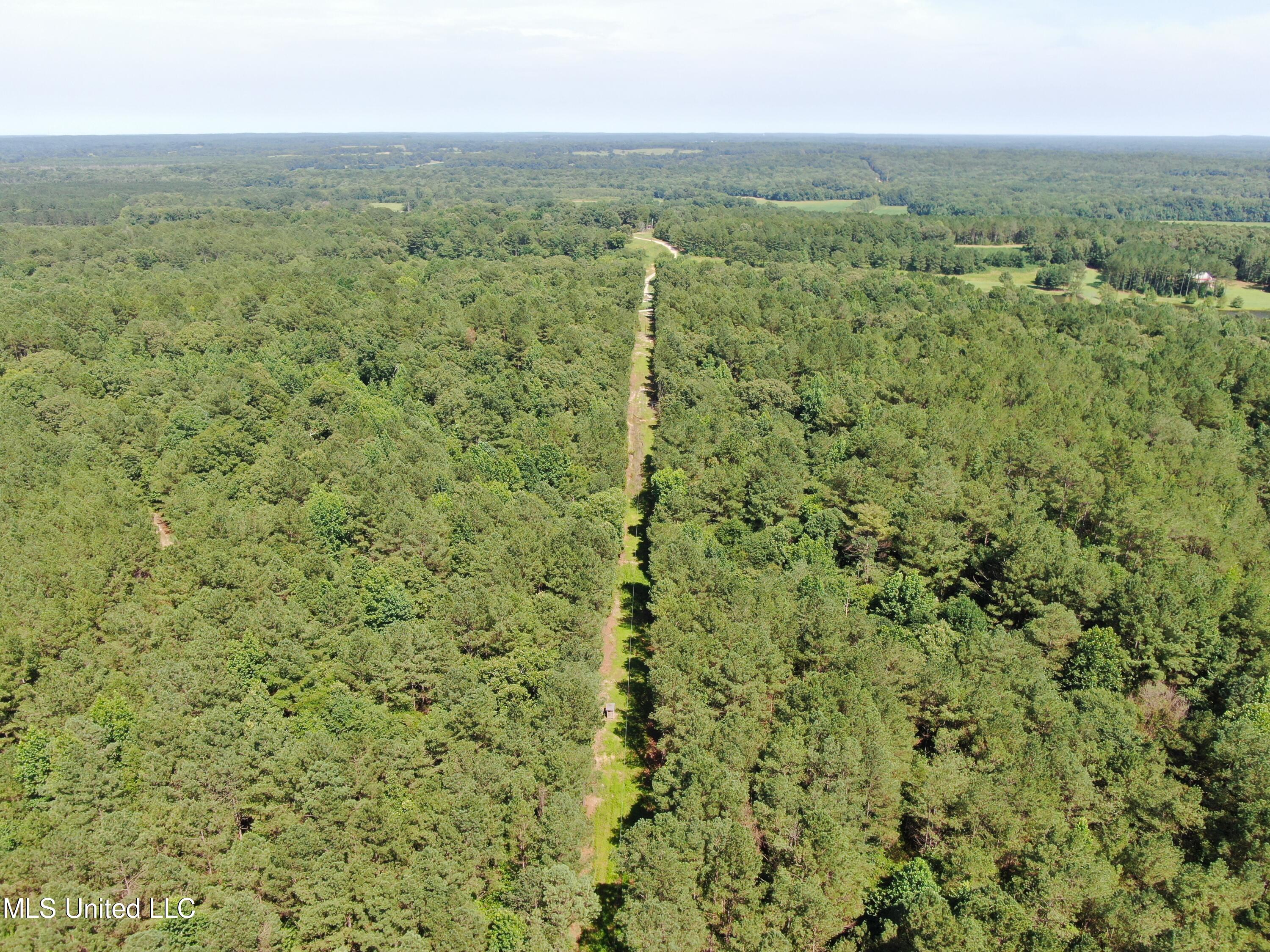 3400 Bethlehem Road Potts Camp, MS 38659 - Photo 2 of 30 DJI_0919