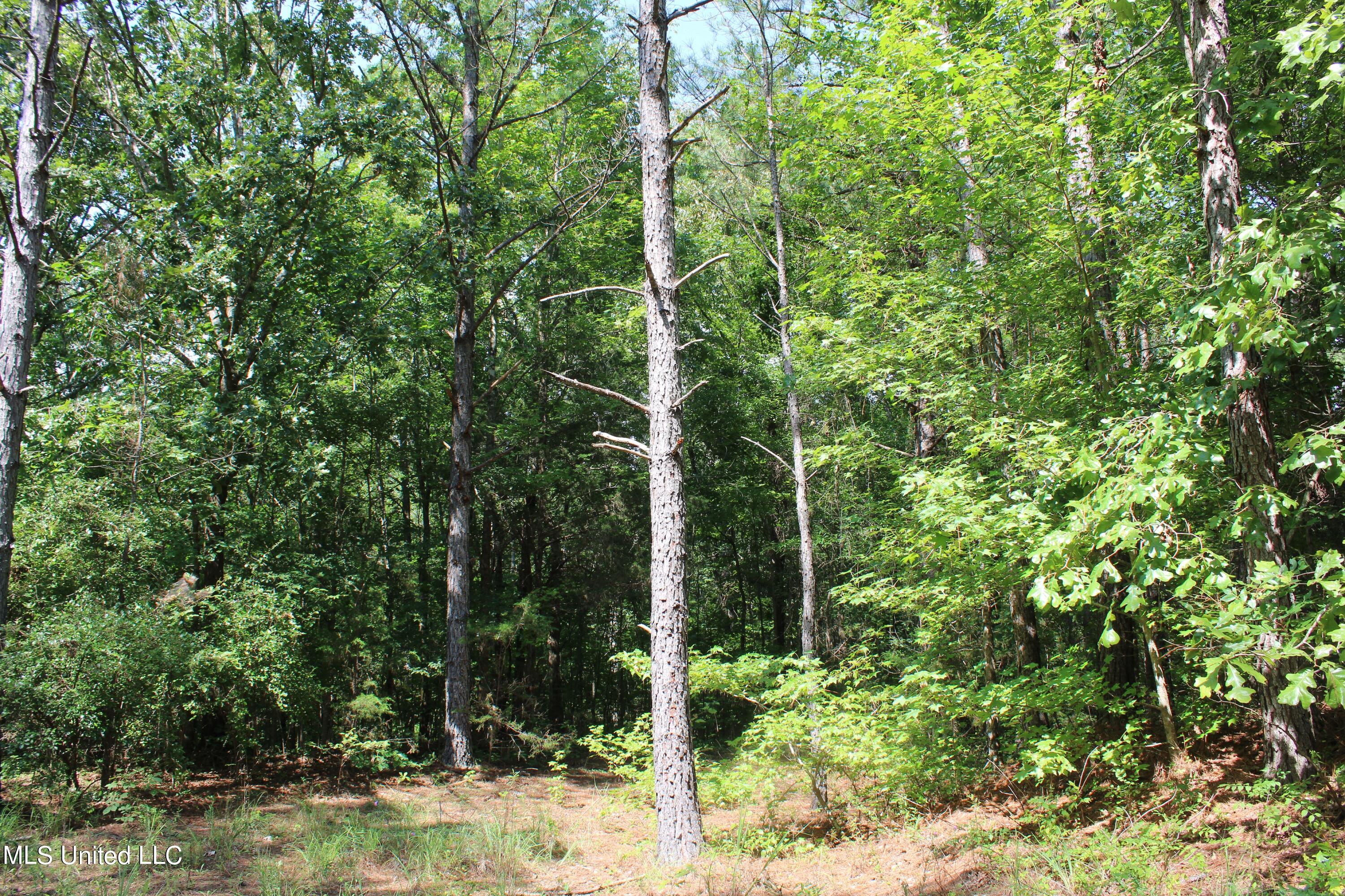 3400 Bethlehem Road Potts Camp, MS 38659 - Photo 21 of 30 IMG_1804