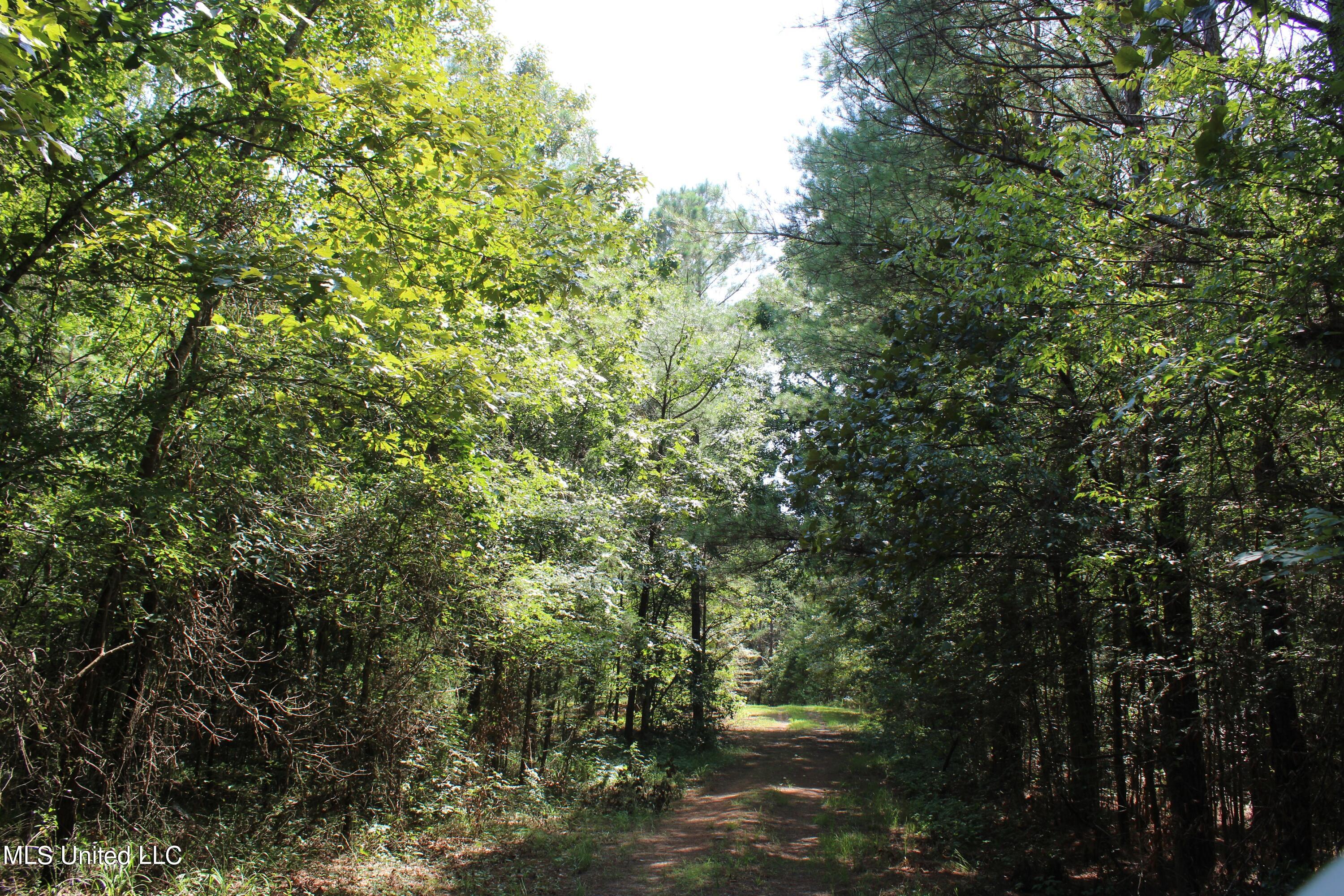 3400 Bethlehem Road Potts Camp, MS 38659 - Photo 22 of 30 IMG_1805