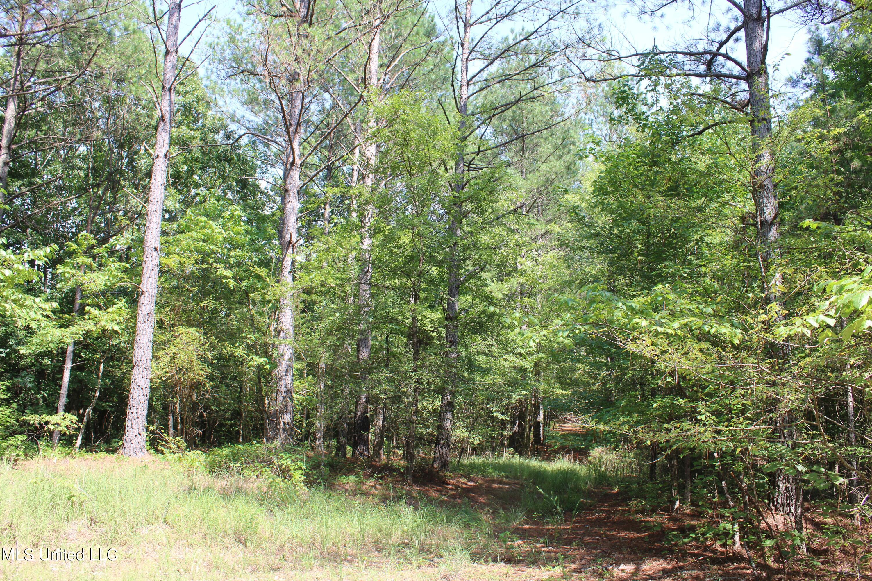 3400 Bethlehem Road Potts Camp, MS 38659 - Photo 23 of 30 IMG_1806