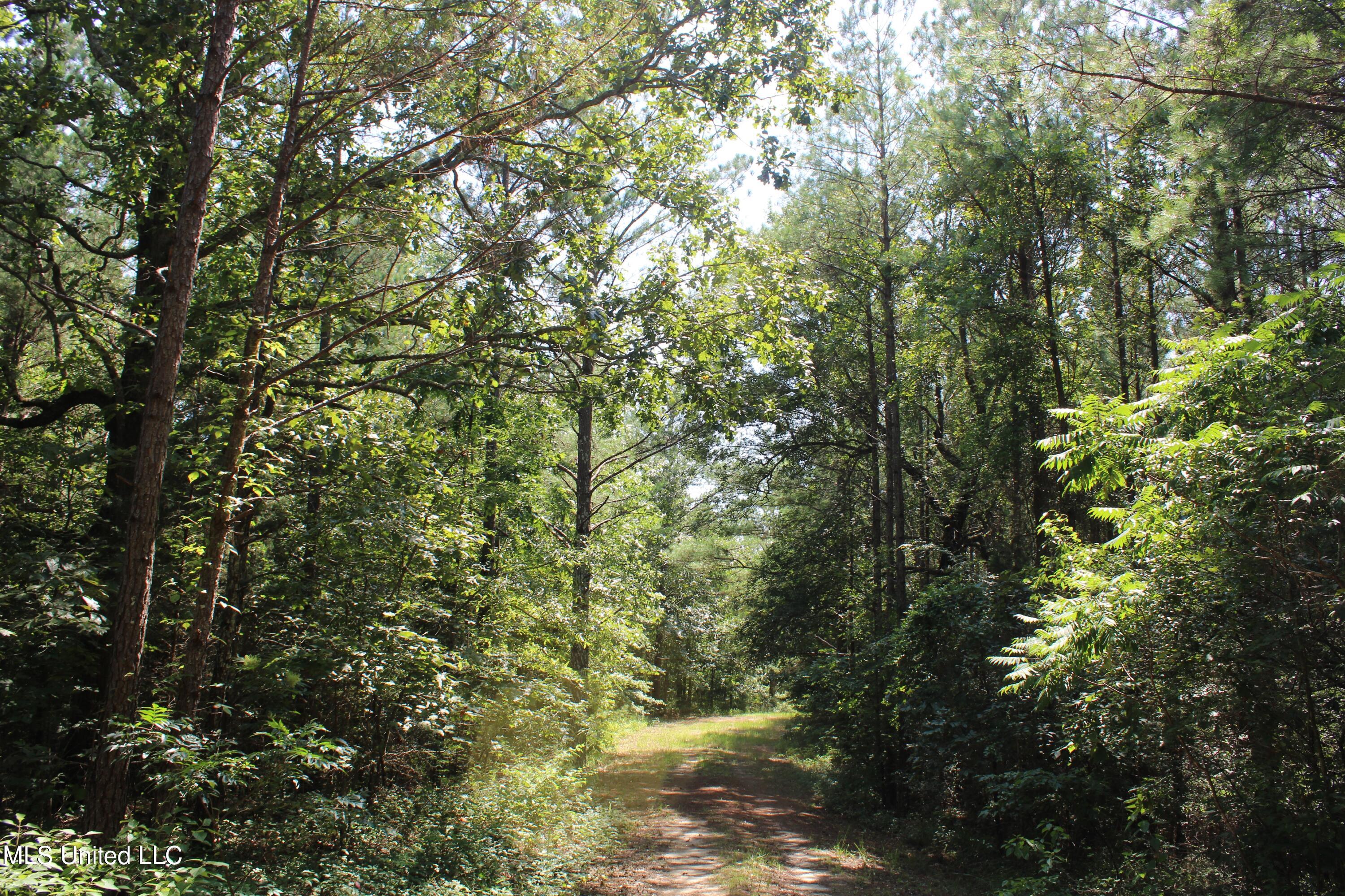 3400 Bethlehem Road Potts Camp, MS 38659 - Photo 24 of 30 IMG_1807
