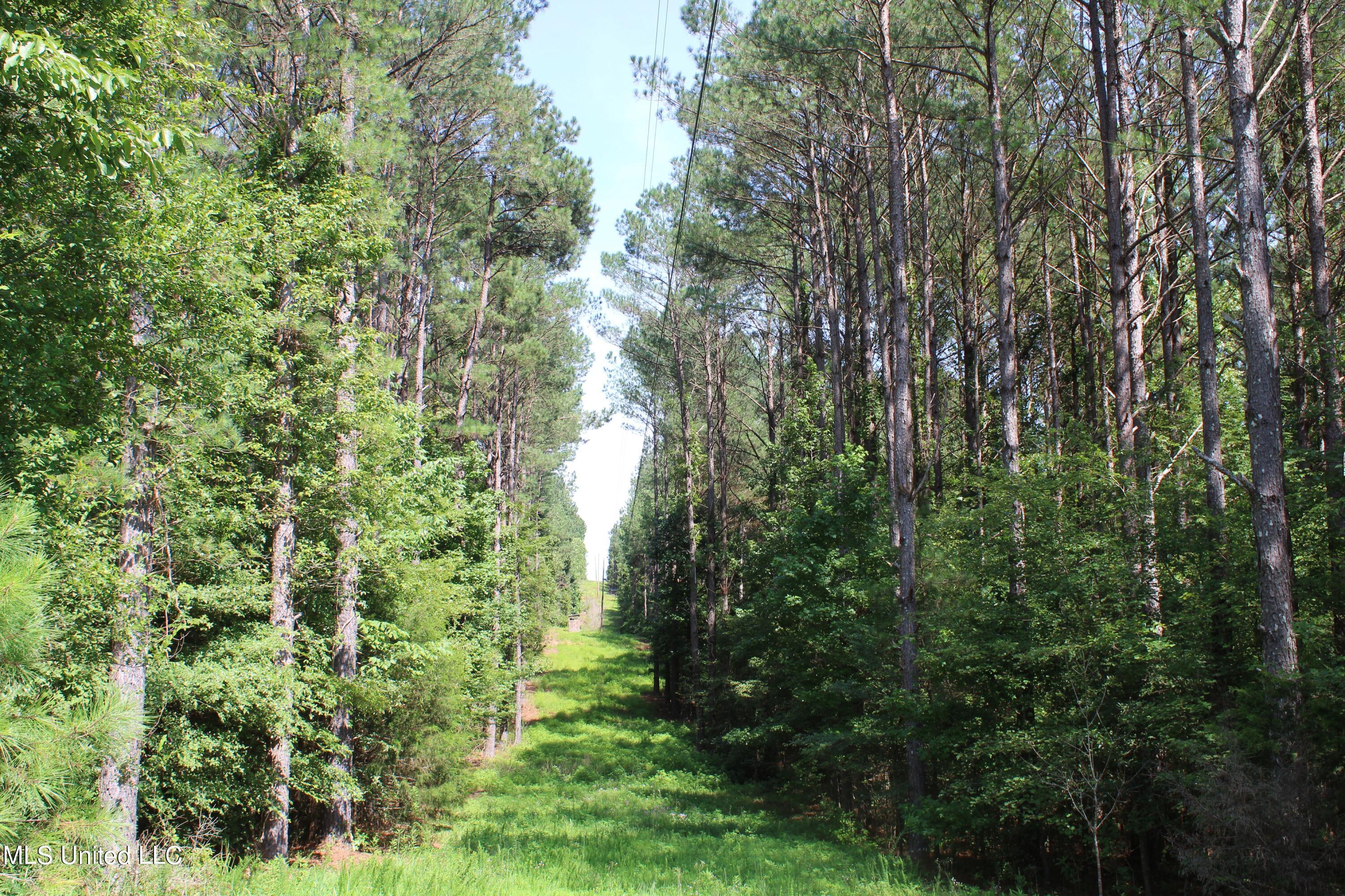 3400 Bethlehem Road Potts Camp, MS 38659 - Photo 25 of 30 IMG_1811