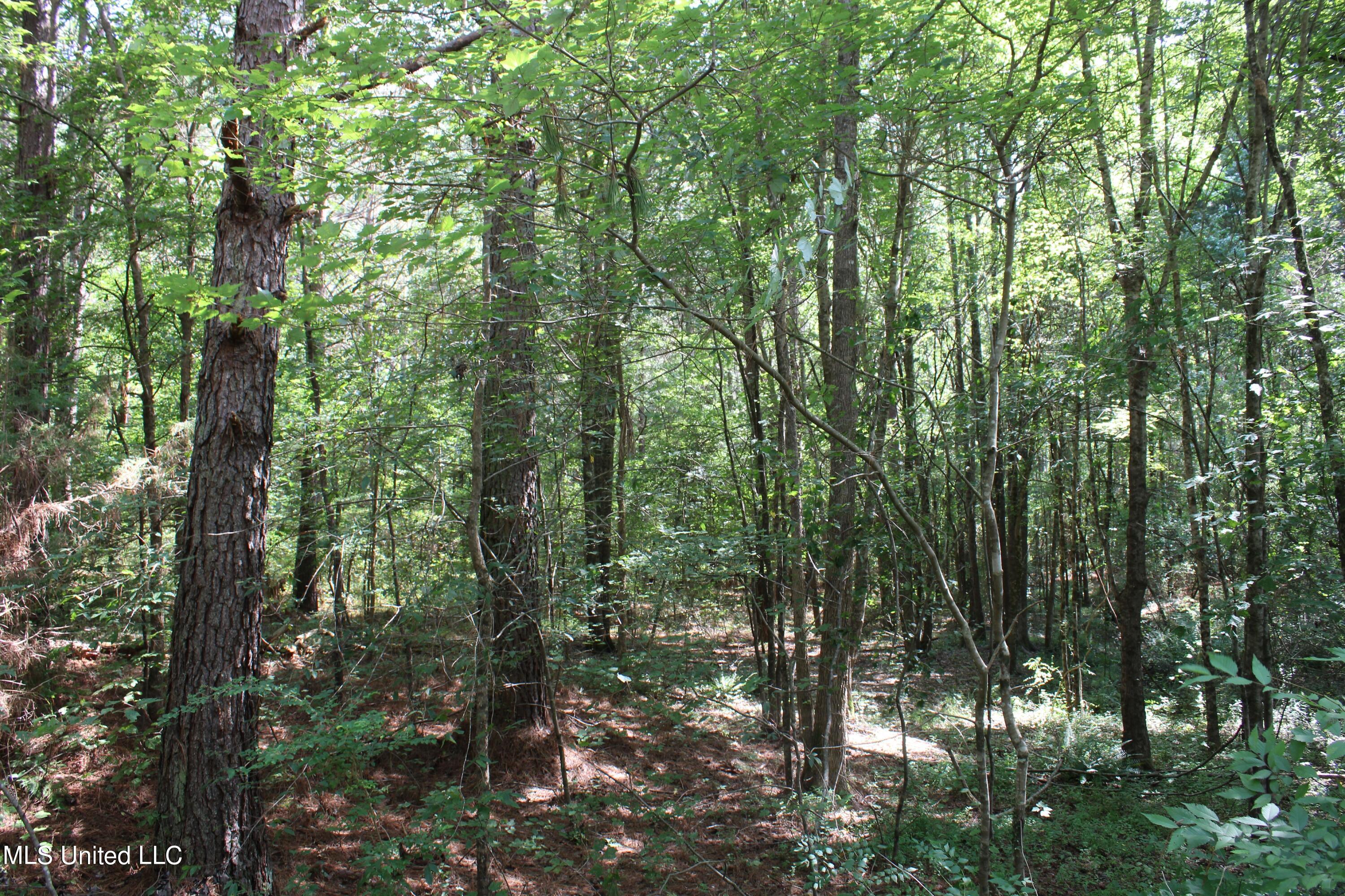 3400 Bethlehem Road Potts Camp, MS 38659 - Photo 30 of 30 IMG_1823