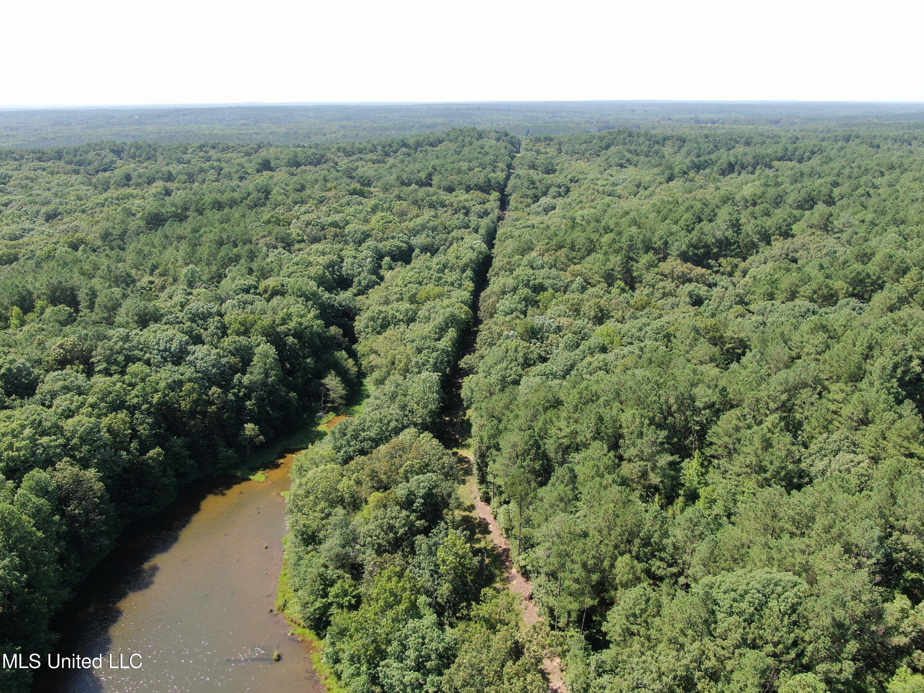 3400 Bethlehem Road Potts Camp, MS 38659 - Photo 3 of 30 DJI_0920