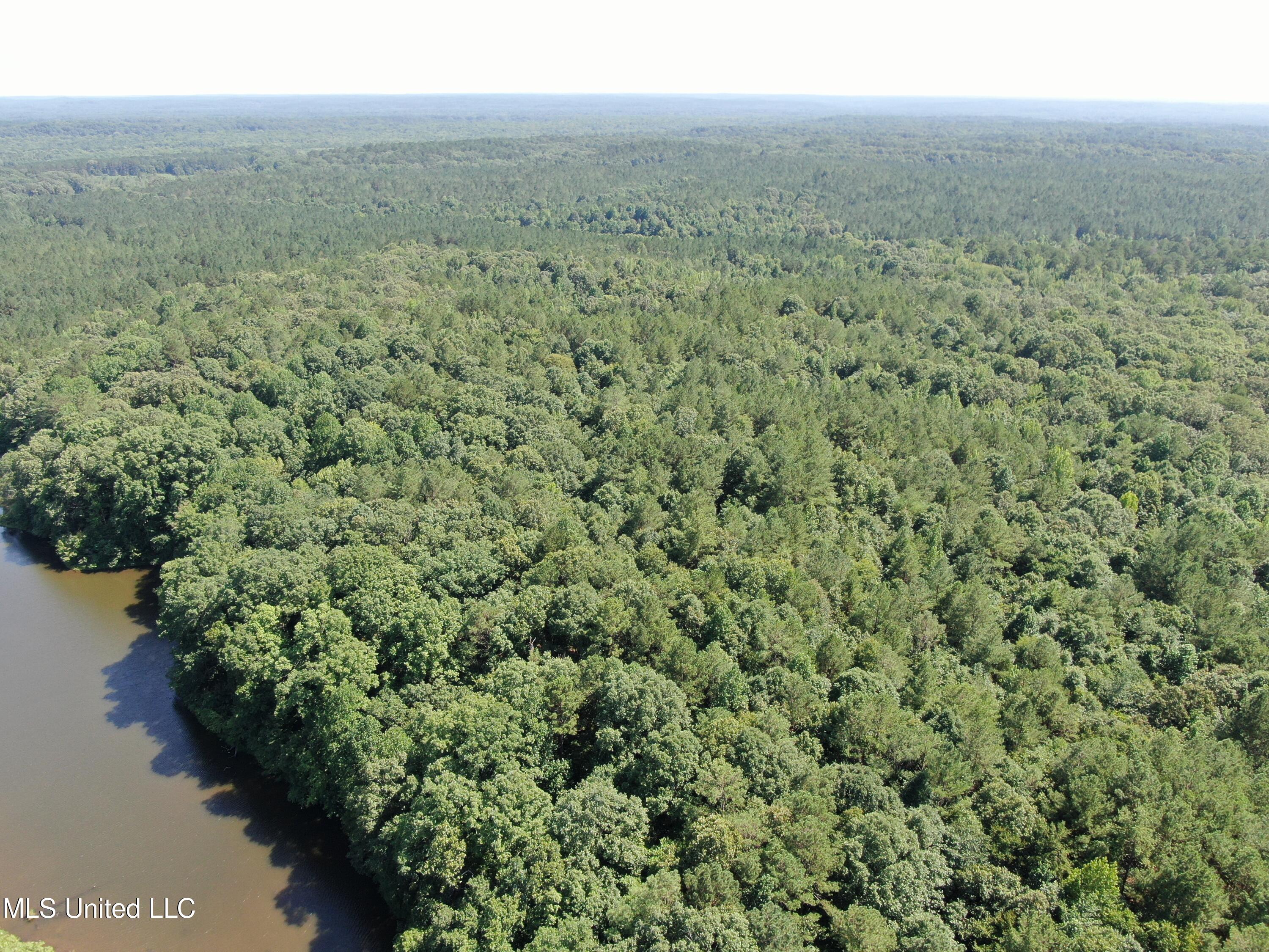 3400 Bethlehem Road Potts Camp, MS 38659 - Photo 4 of 30 DJI_0922