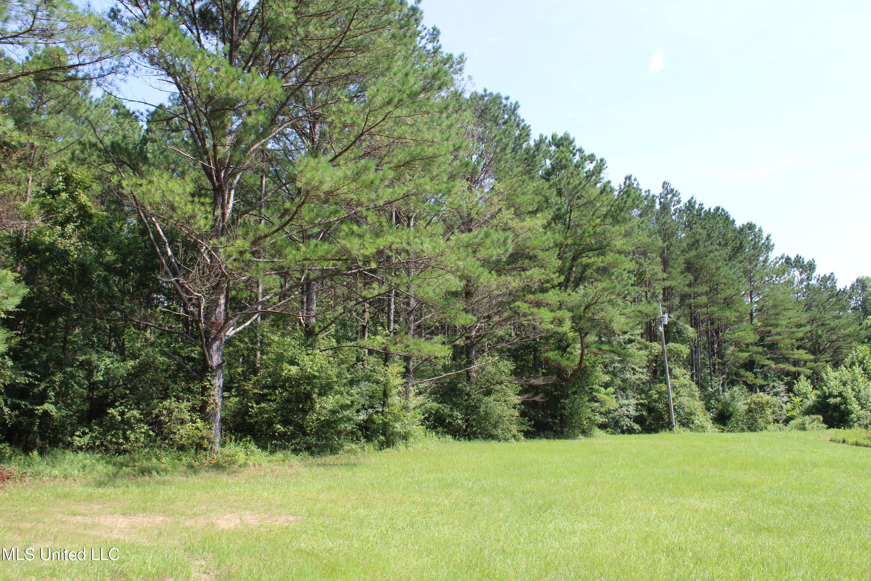 3400 Bethlehem Road Potts Camp, MS 38659 - Photo 8 of 30 IMG_1809