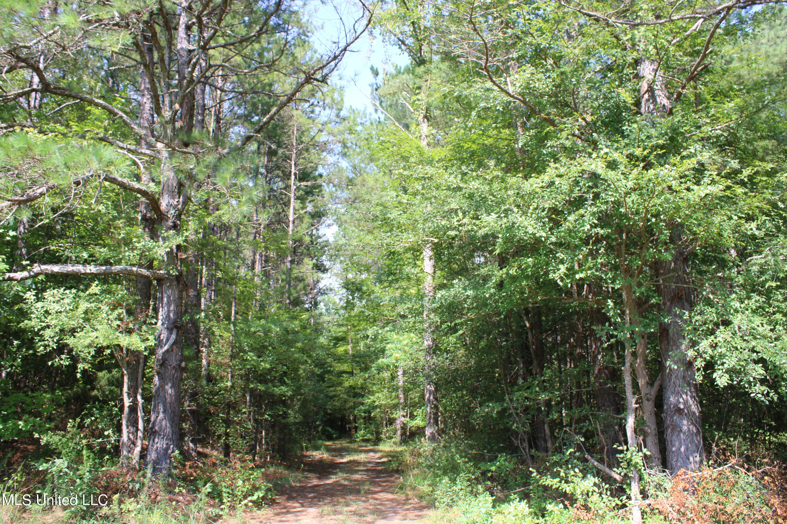 3400 Bethlehem Road Potts Camp, MS 38659 - Photo 9 of 30 IMG_1810