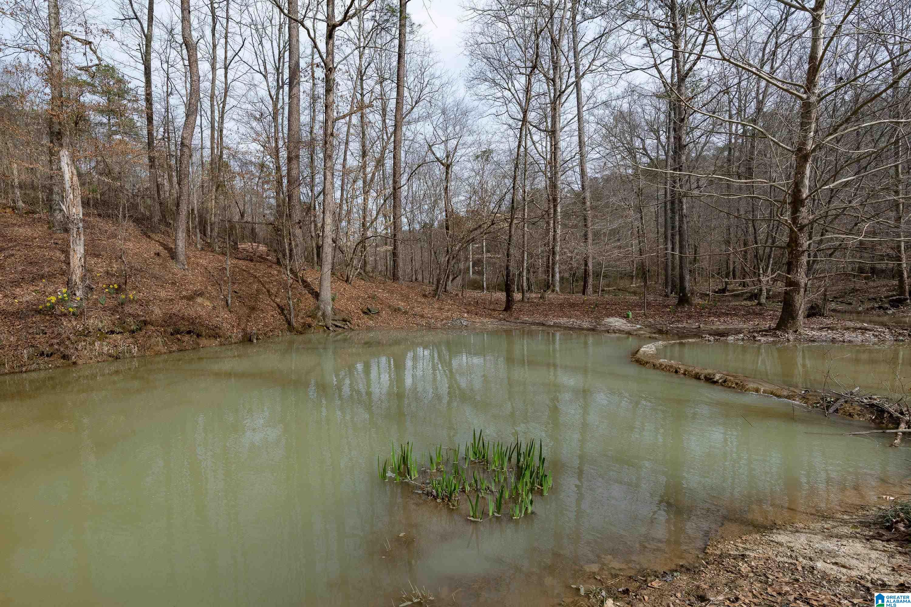 4140 Sicard Hollow Road Birmingham, AL 35242 - Photo 24 of 26
