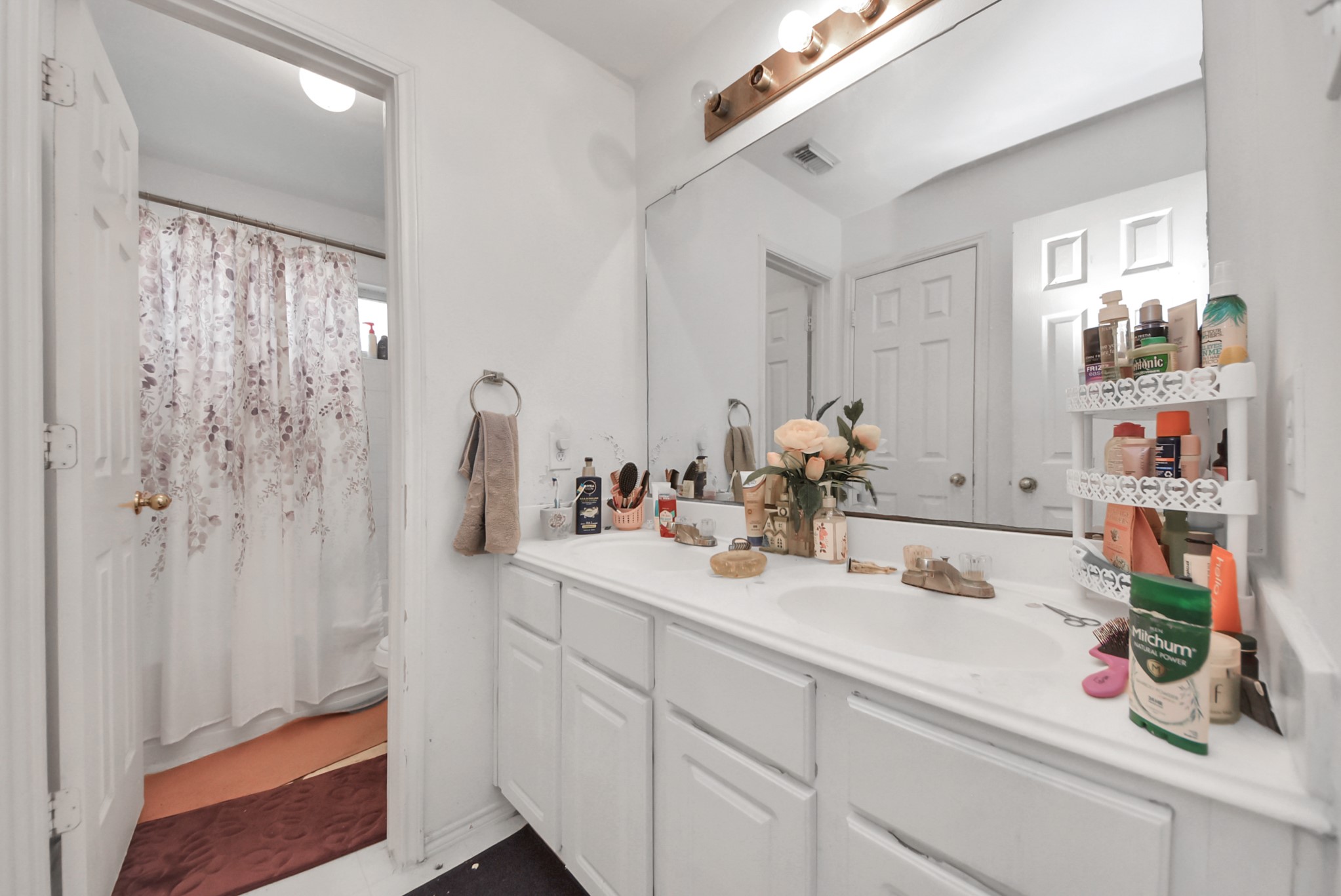 10003 Dakota Ridge Court Houston, TX 77095 - Photo 21 of 30 a bathroom with a sink and a mirror