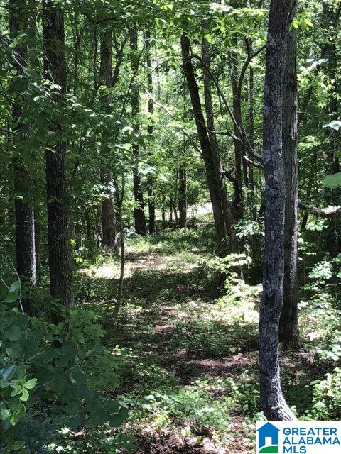 Wright Way Drive, Unit 3 Wedowee, AL 36278 - Photo 4 of 8