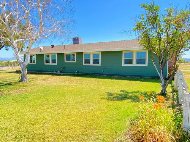 a view of a swimming pool with some potted plants and large tree