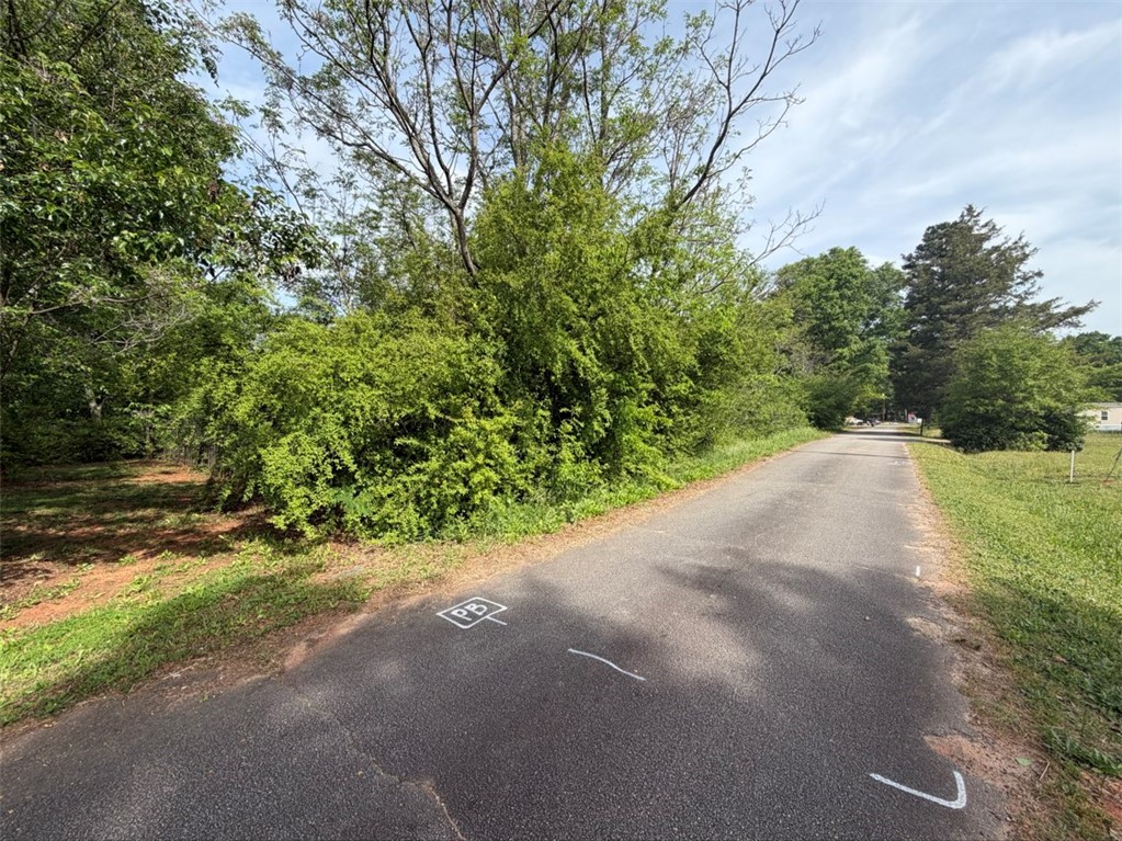 102 Sioux Street Laurens, SC 29360 - Photo 1 of 8 A tranquil, tree-lined road leads to a secluded lot, offering a peaceful retreat.