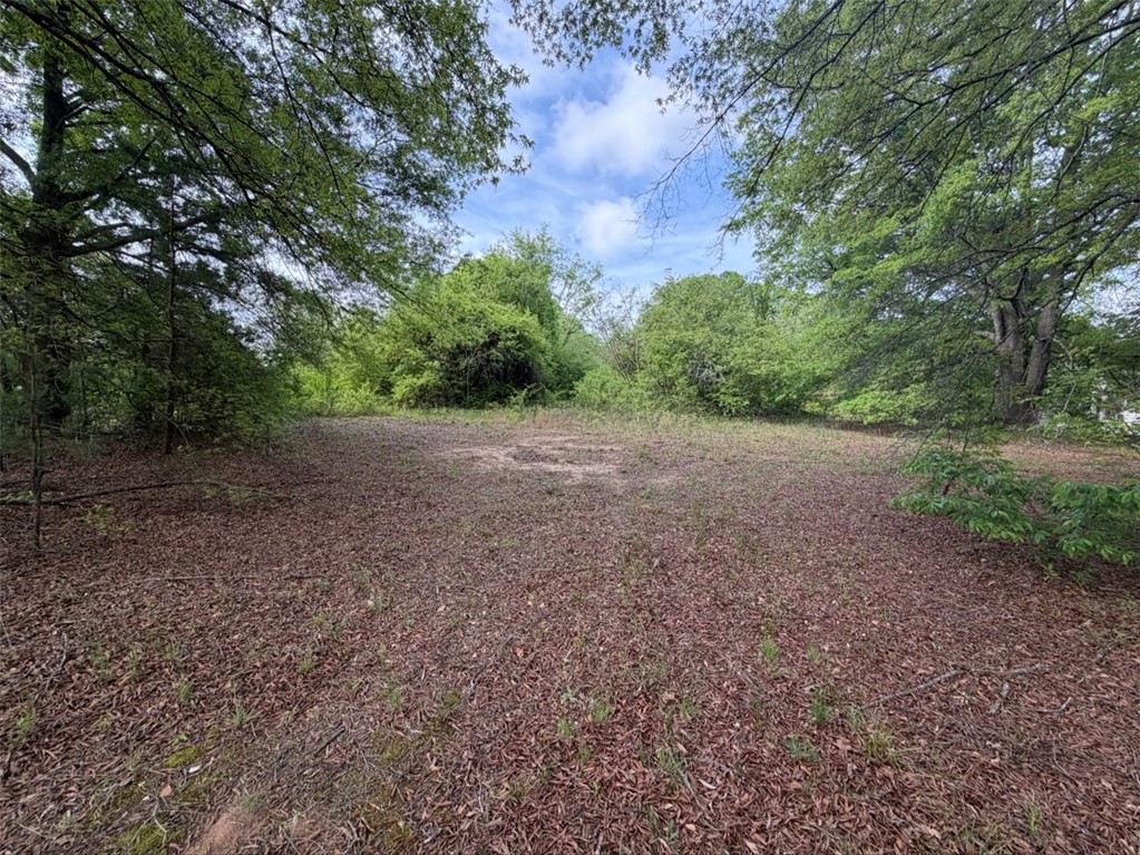 102 Sioux Street Laurens, SC 29360 - Photo 3 of 8 This expansive lot offers ample space, surrounded by lush trees, ready for your vision.