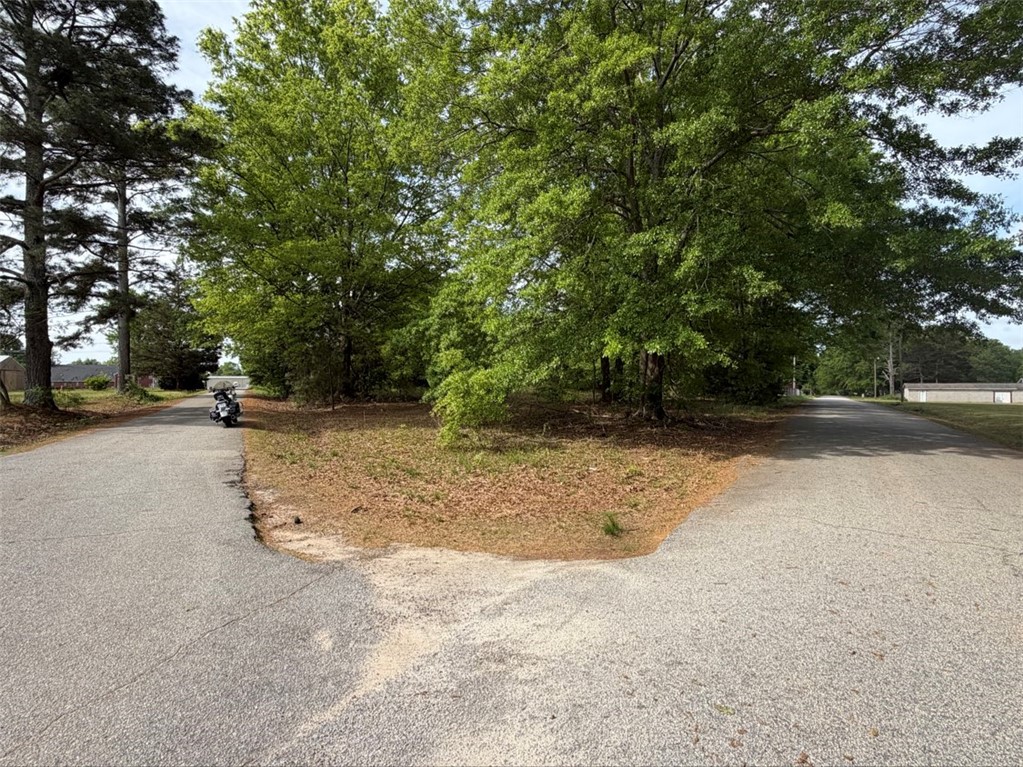 102 Sioux Street Laurens, SC 29360 - Photo 4 of 8 This lot offers a prime location with mature trees, perfect for a custom build.