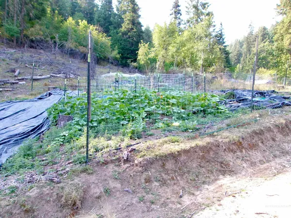 $355,000 | 123 Conifer Lane, Stites, ID 83552