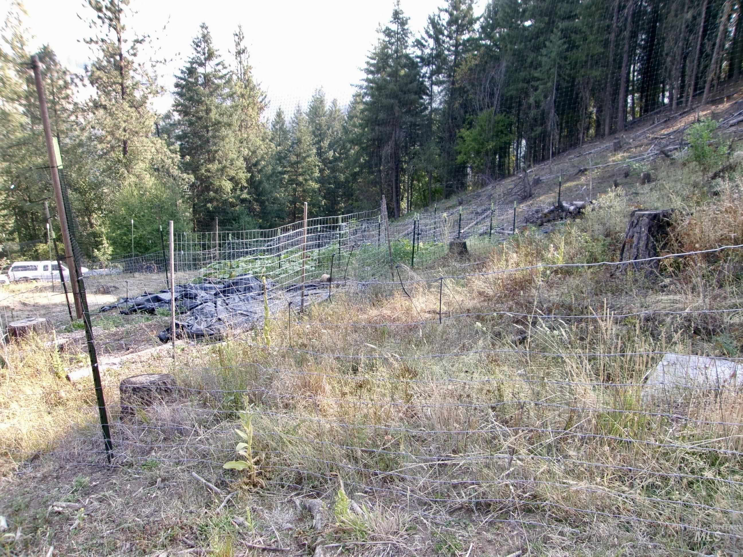 123 Conifer Lane Stites, ID 83552 - Photo 30 of 48 View of wooded area