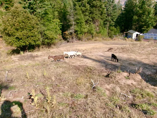 $385,000 | 123 Conifer Lane, Stites, ID 83552