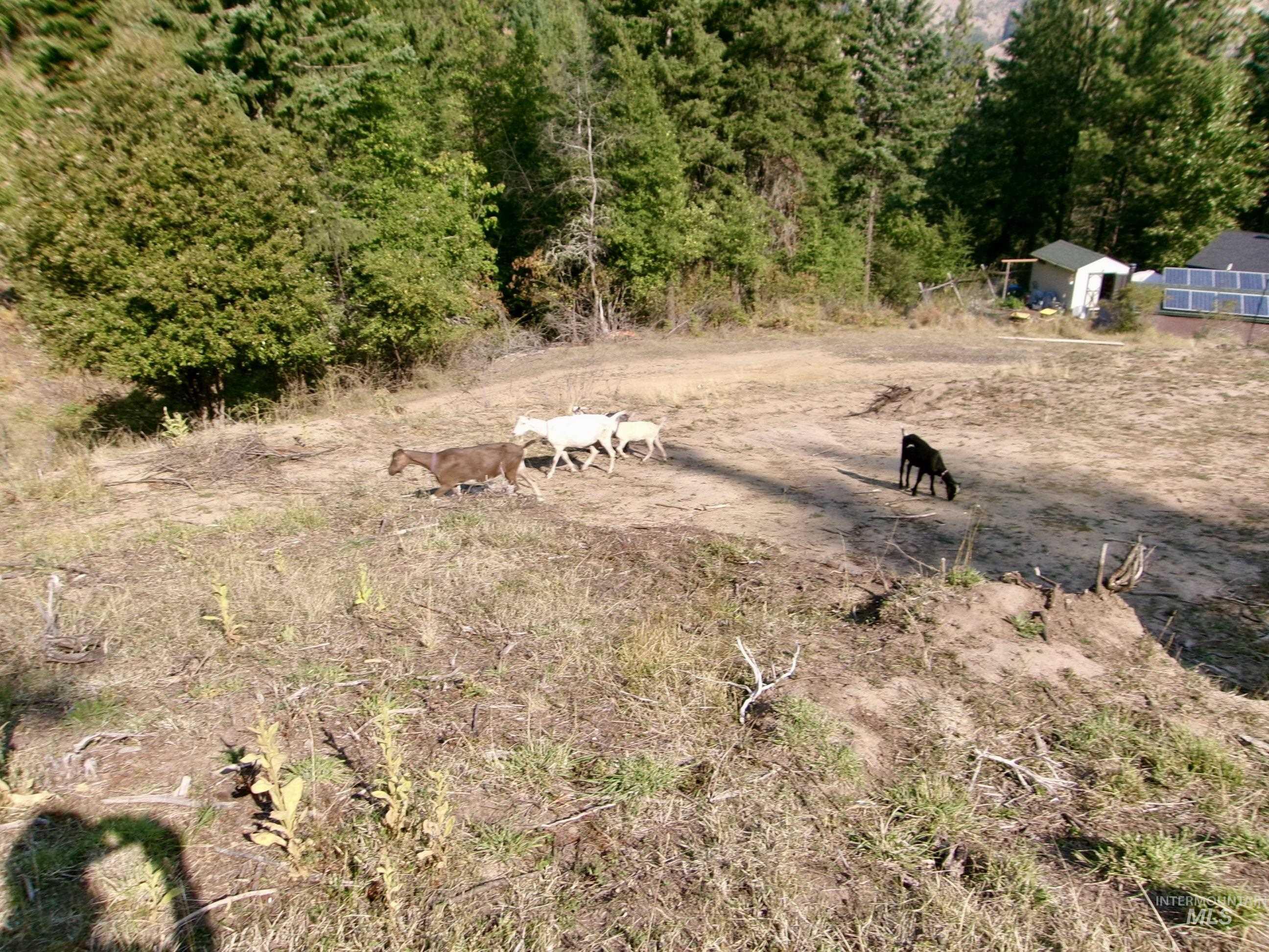 123 Conifer Lane Stites, ID 83552 - Photo 31 of 48 Aerial view of sparsely populated area featuring agricultural land