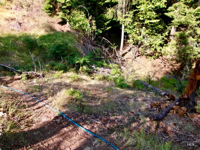 $385,000 | 123 Conifer Lane, Stites, ID 83552