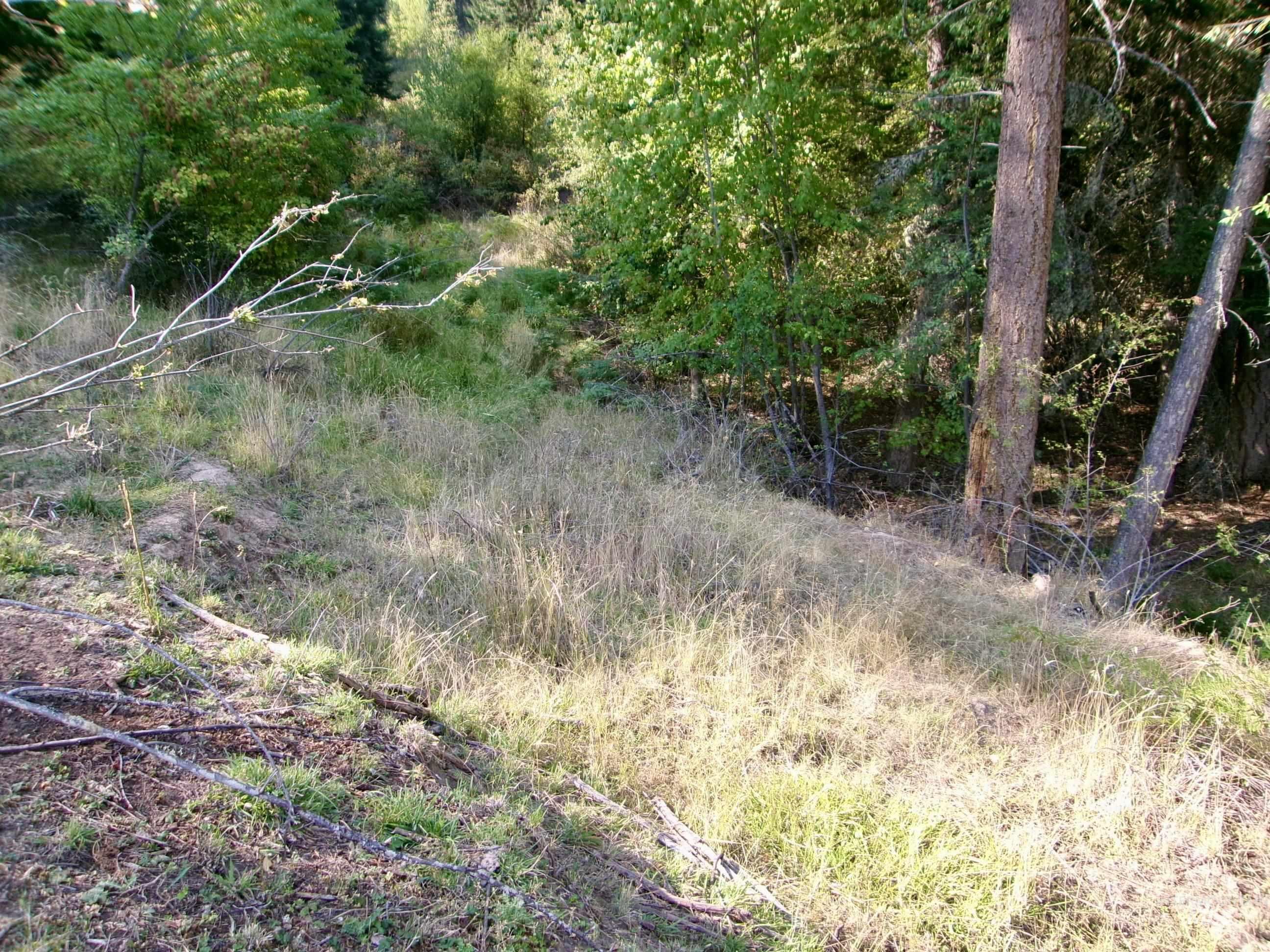 123 Conifer Lane Stites, ID 83552 - Photo 33 of 48 View of nature