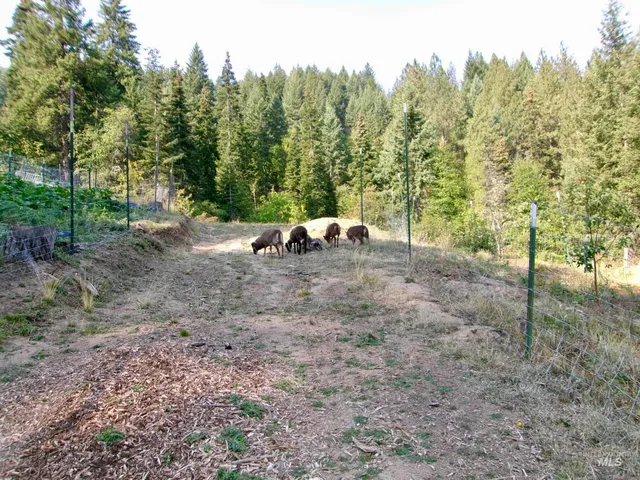 $385,000 | 123 Conifer Lane, Stites, ID 83552