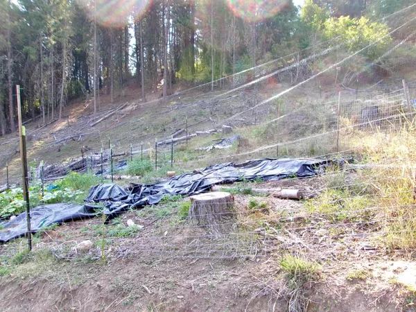 $355,000 | 123 Conifer Lane, Stites, ID 83552