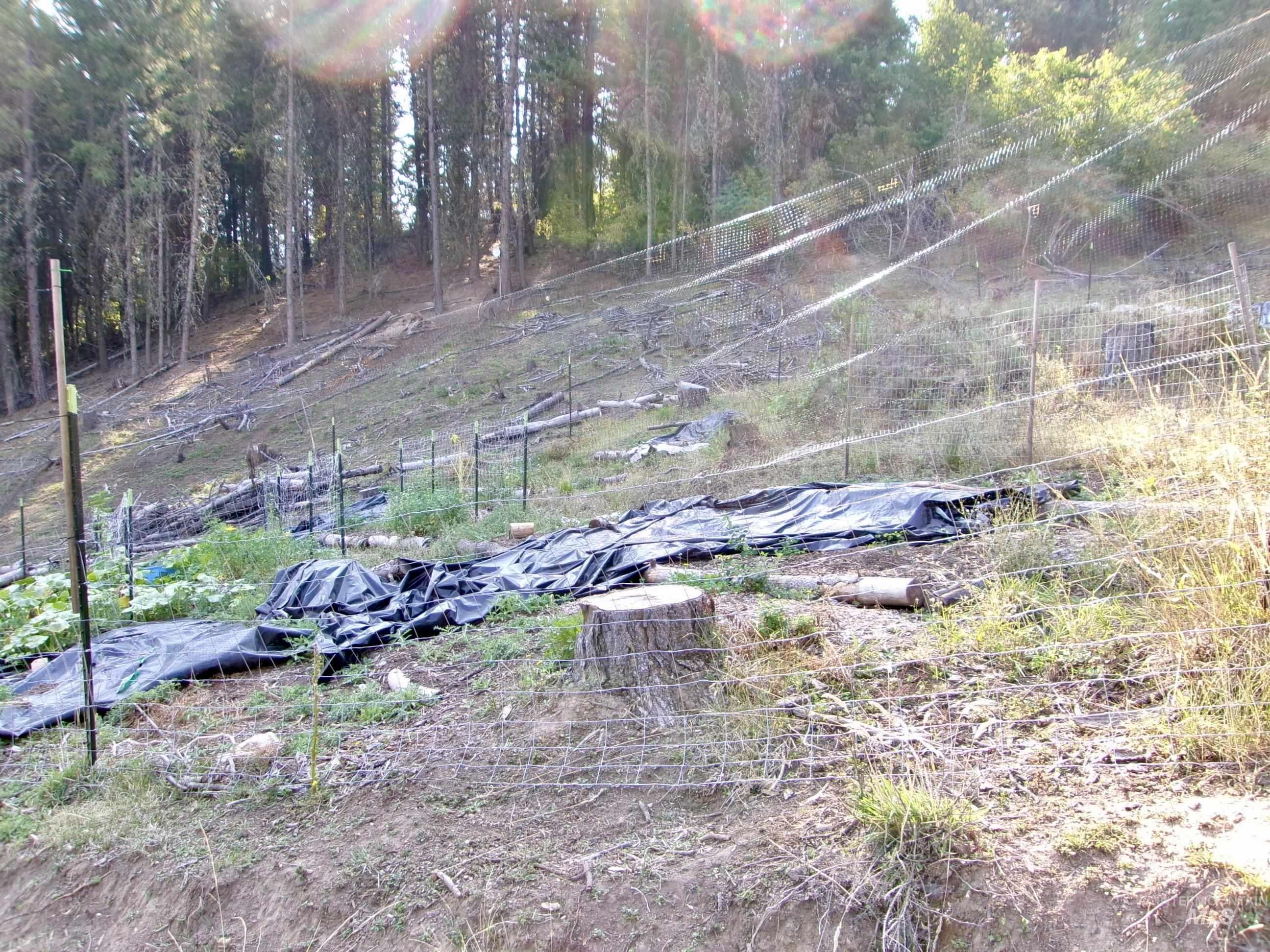 123 Conifer Lane Stites, ID 83552 - Photo 35 of 48 View of nature