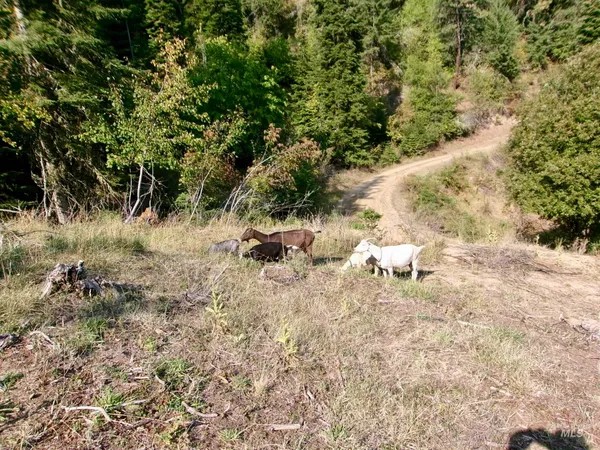 $355,000 | 123 Conifer Lane, Stites, ID 83552