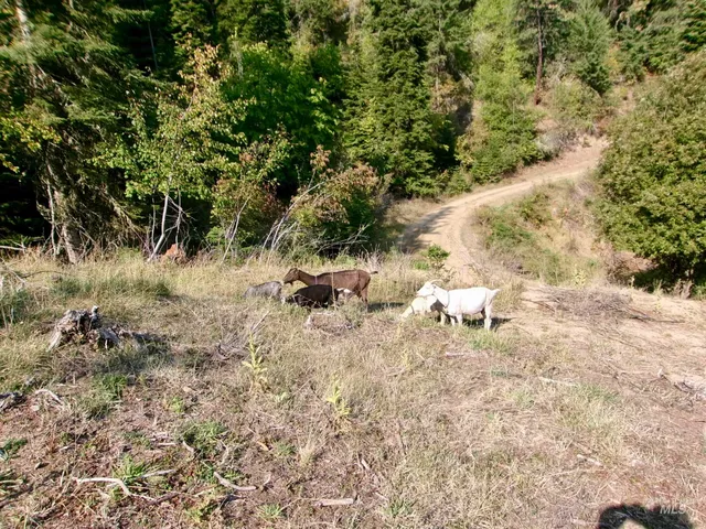 $385,000 | 123 Conifer Lane, Stites, ID 83552