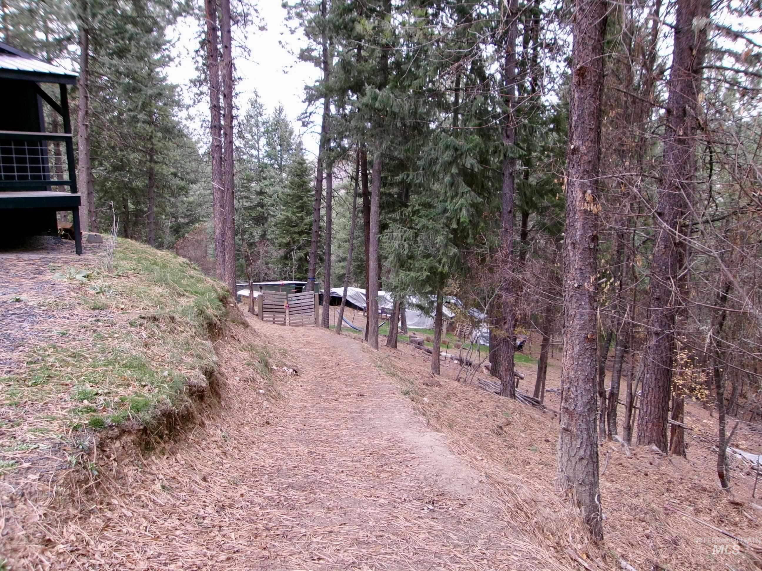 123 Conifer Lane Stites, ID 83552 - Photo 37 of 48 View of tree filled area