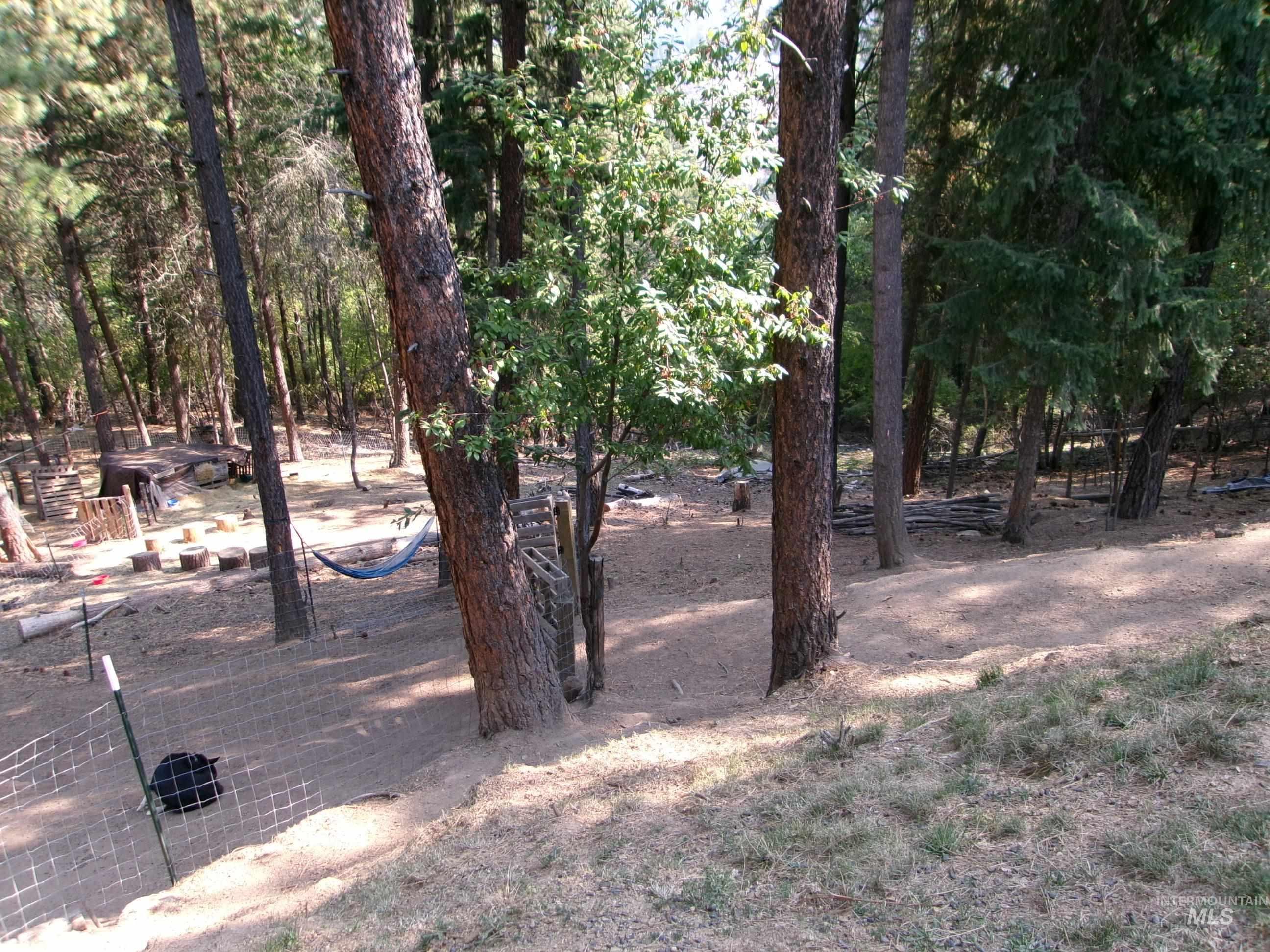 123 Conifer Lane Stites, ID 83552 - Photo 38 of 48 View of yard featuring a patio area