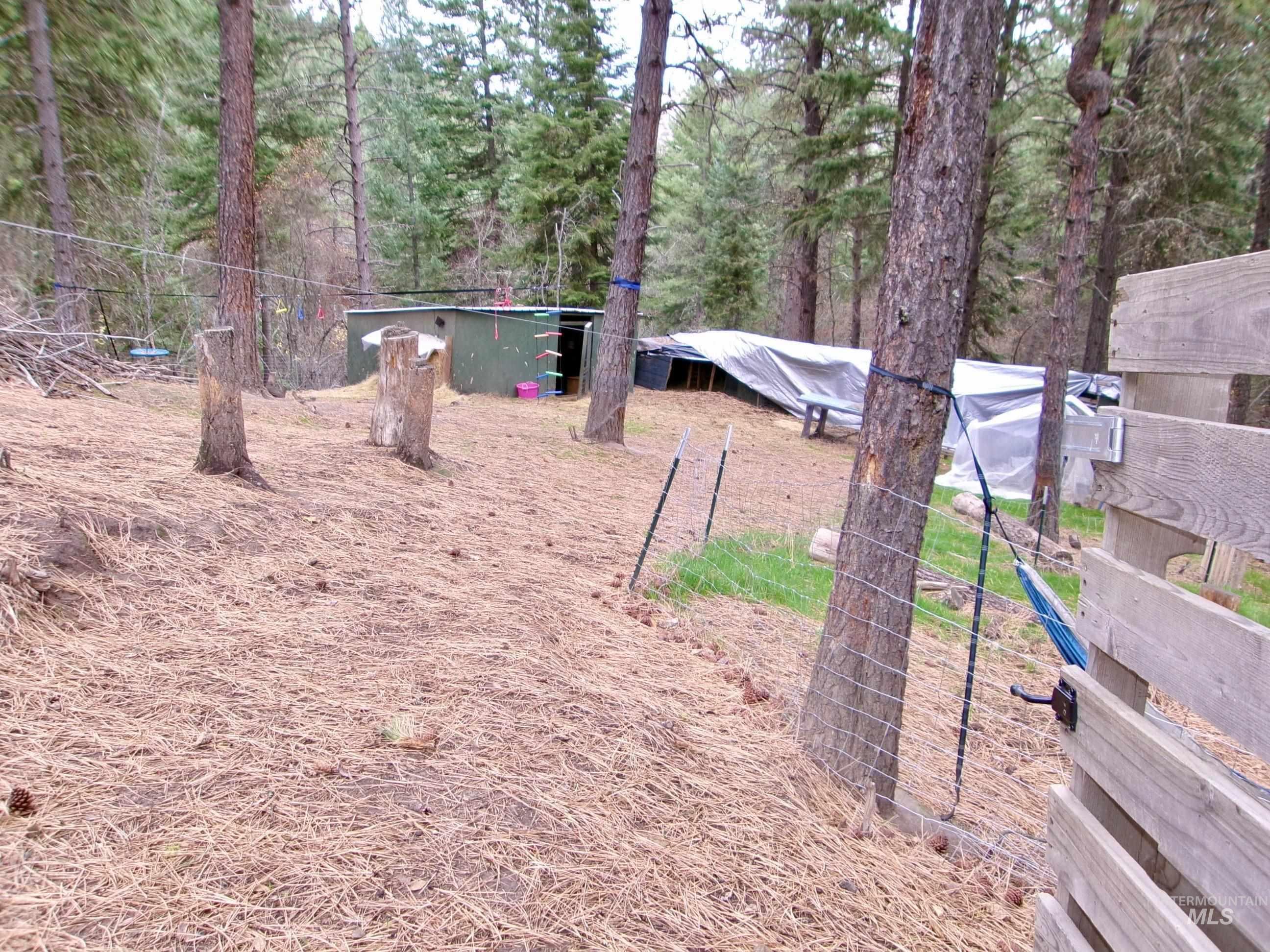 123 Conifer Lane Stites, ID 83552 - Photo 39 of 48 View of yard