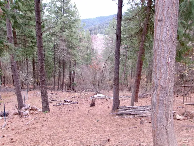 $385,000 | 123 Conifer Lane, Stites, ID 83552