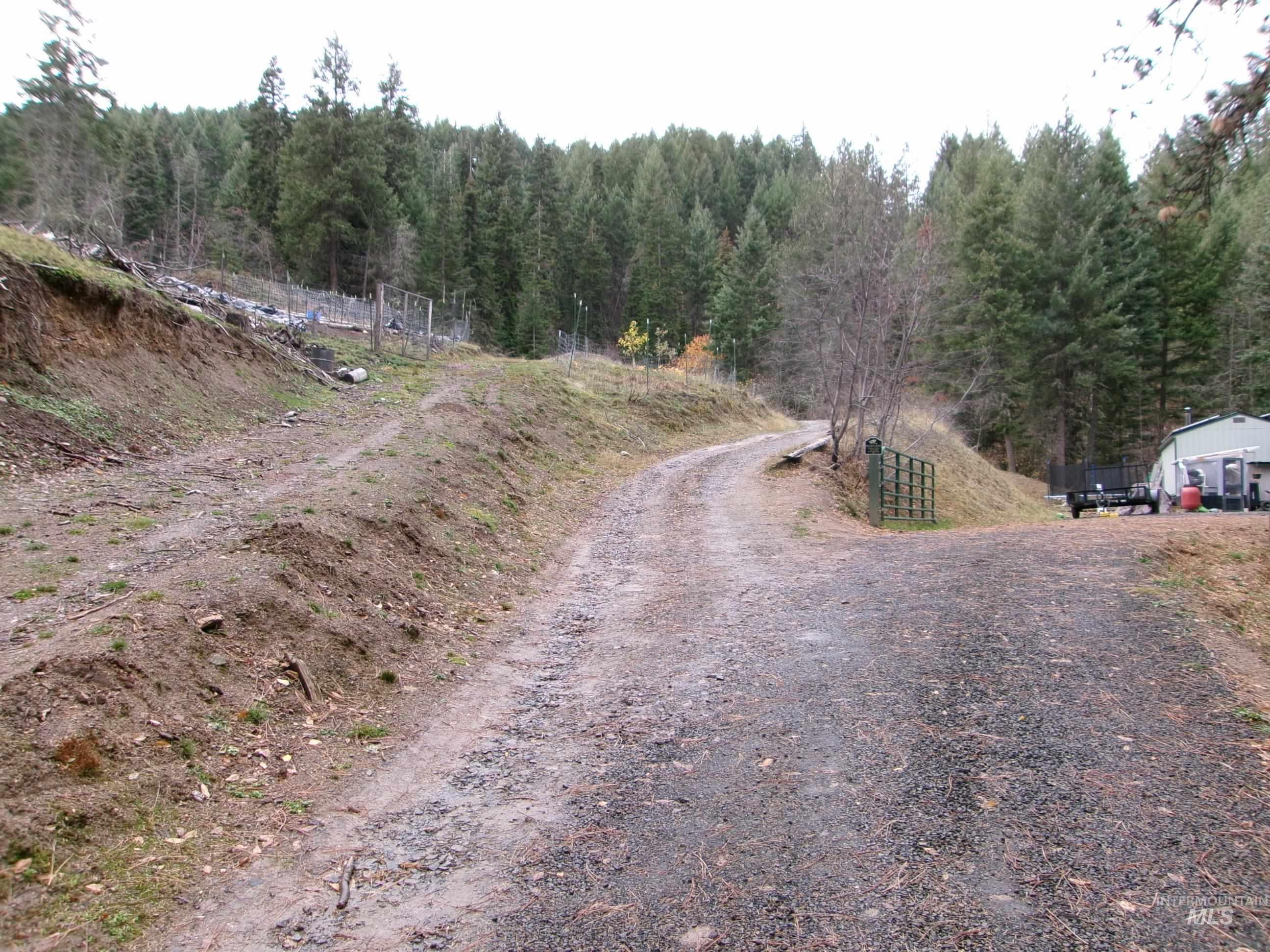 123 Conifer Lane Stites, ID 83552 - Photo 4 of 48 View of dirt / gravel road featuring a forest view and a view of countryside