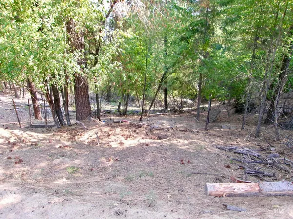 $355,000 | 123 Conifer Lane, Stites, ID 83552