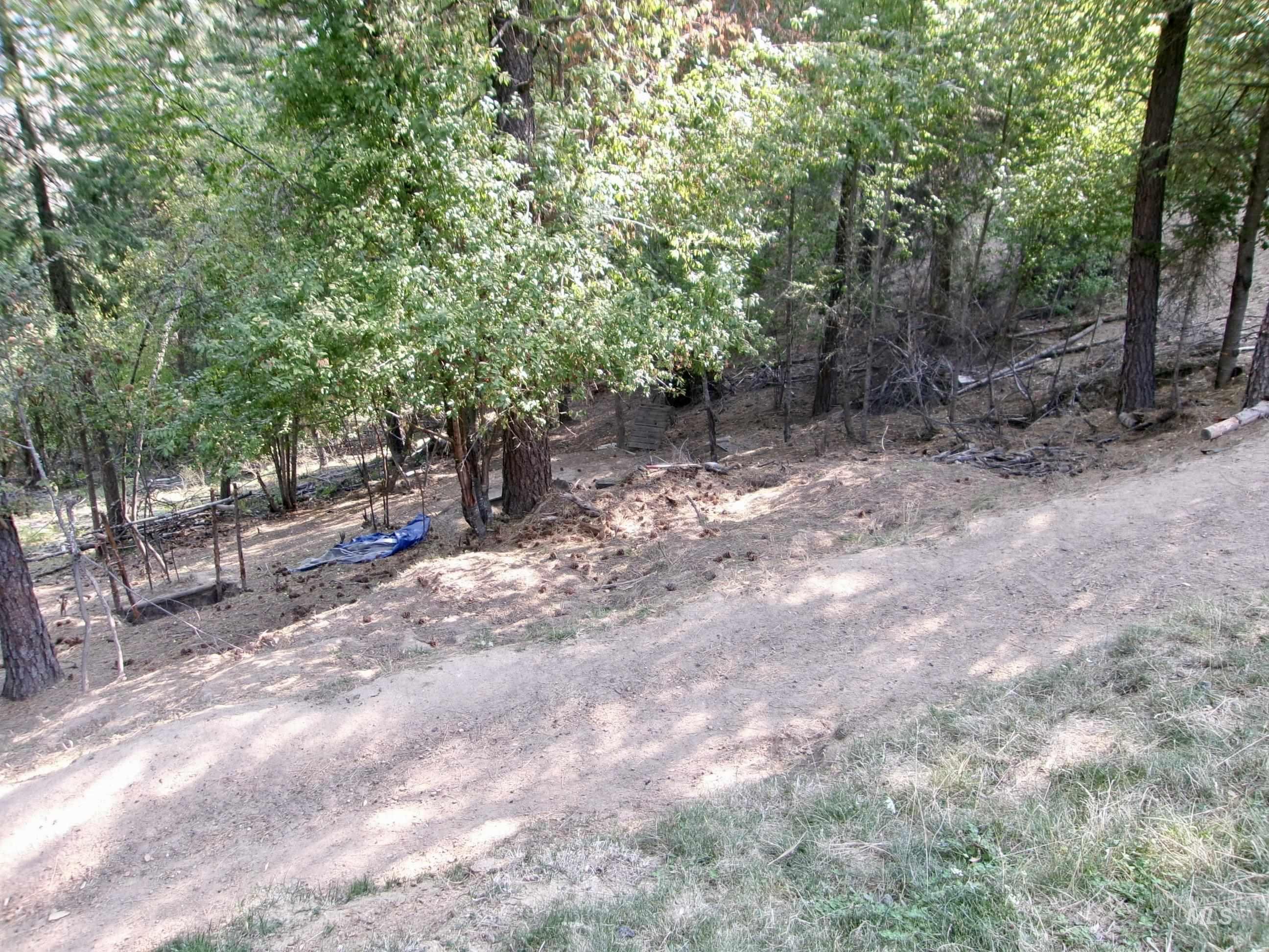 123 Conifer Lane Stites, ID 83552 - Photo 42 of 48 View of yard