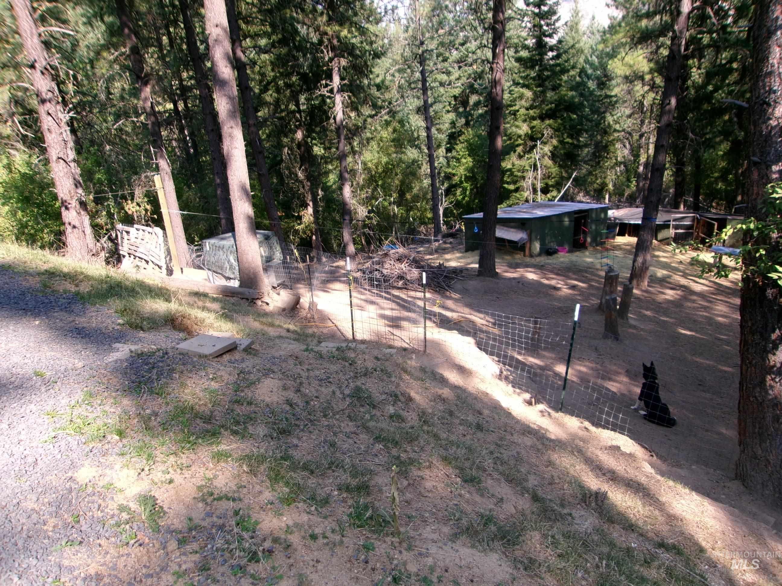 123 Conifer Lane Stites, ID 83552 - Photo 43 of 48 View of yard