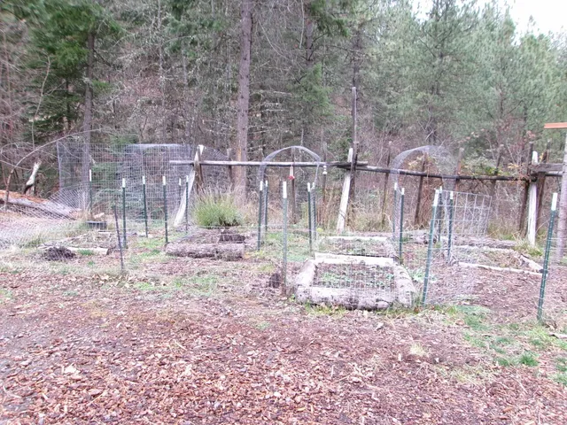 $385,000 | 123 Conifer Lane, Stites, ID 83552