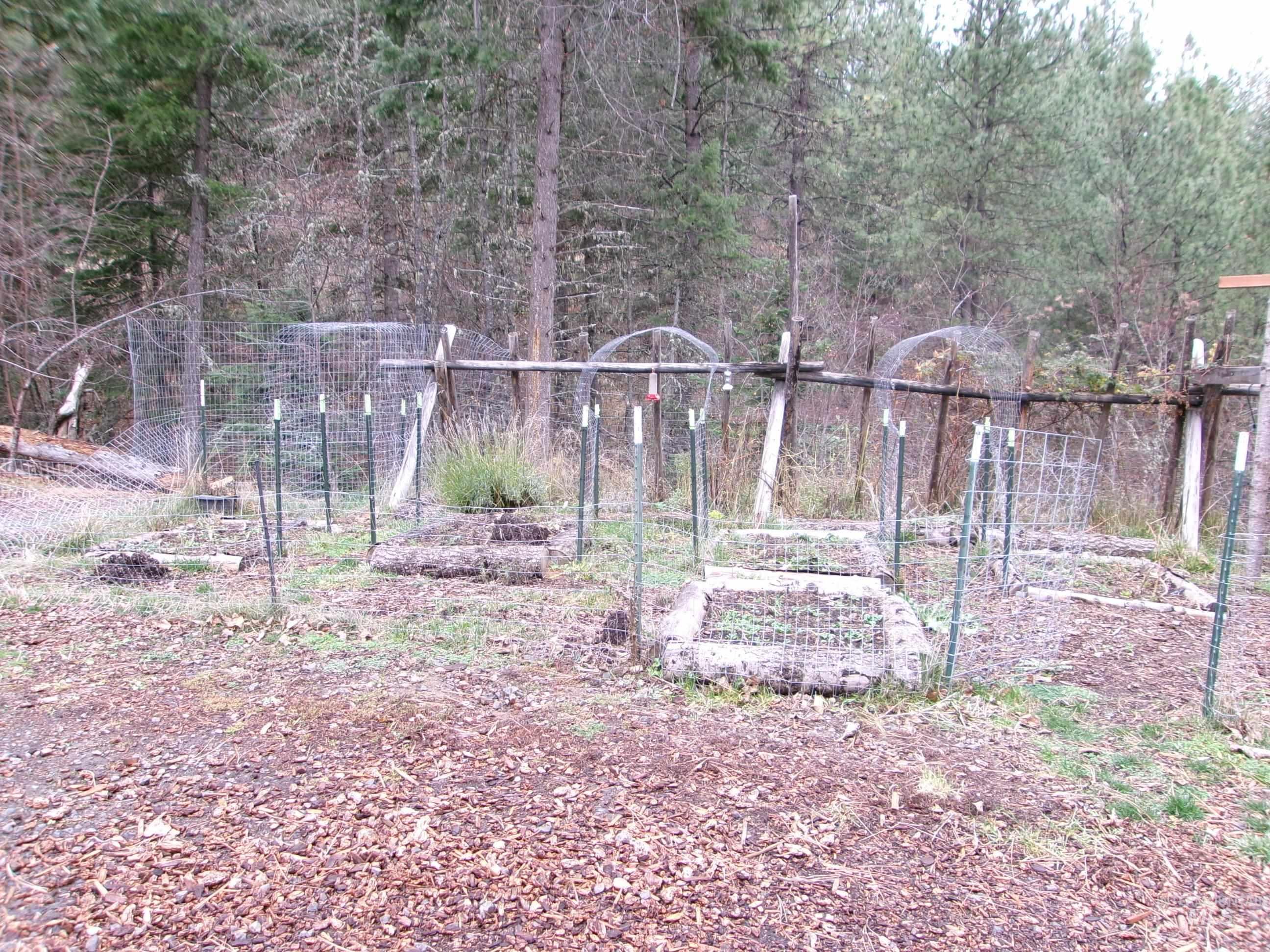 123 Conifer Lane Stites, ID 83552 - Photo 10 of 48 View of yard featuring a garden