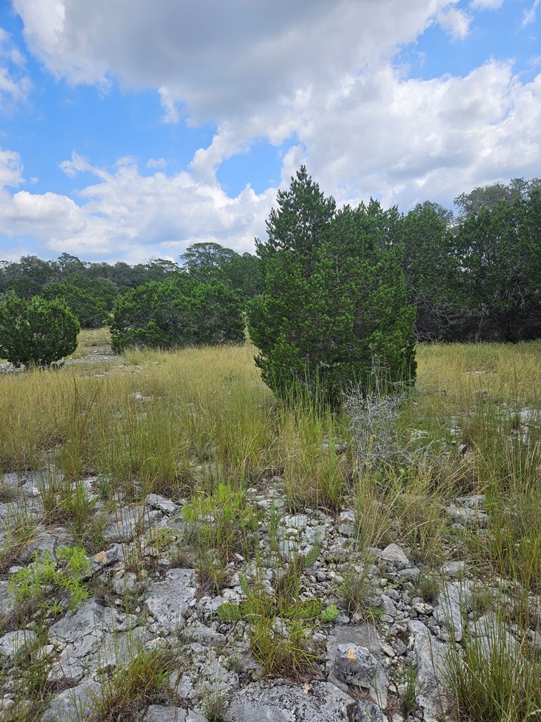 1862 Sd 31846 Rocksprings, TX 78880 - Photo 11 of 32 a view of lake with green space