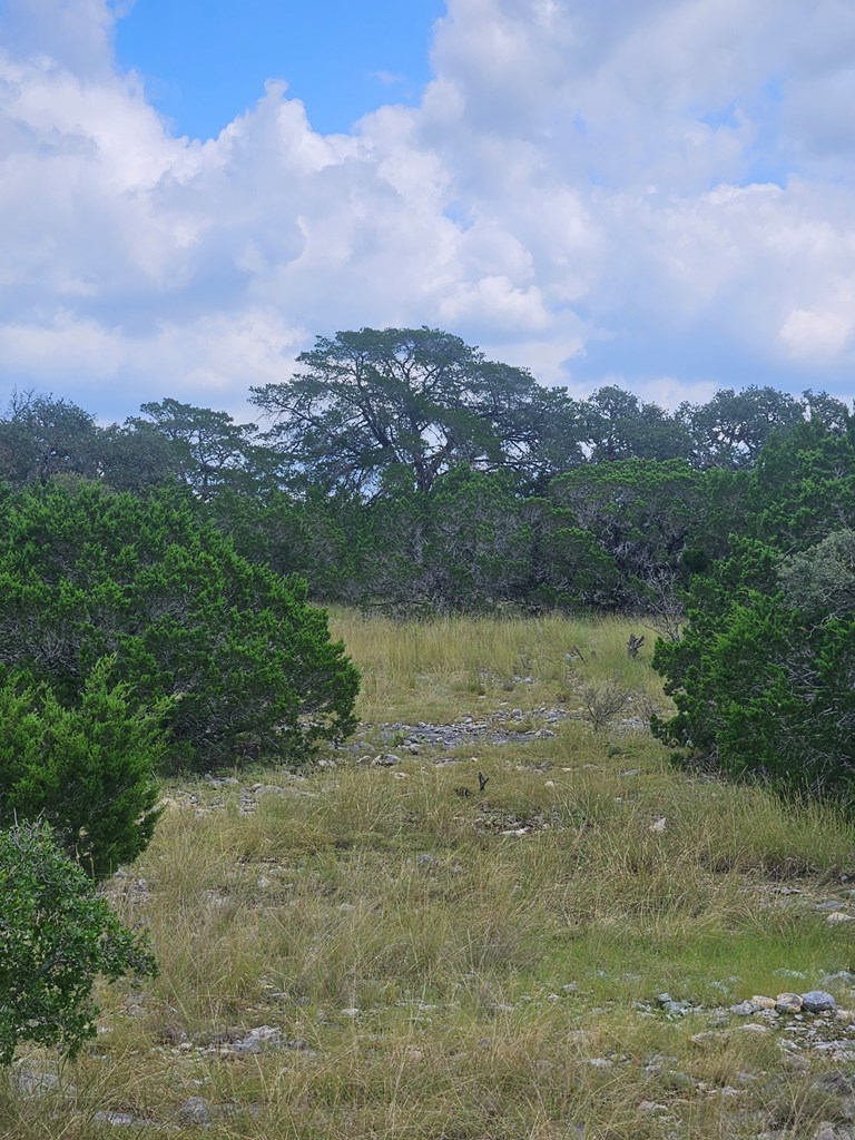 1862 Sd 31846 Rocksprings, TX 78880 - Photo 12 of 32 a view of a lake with a city