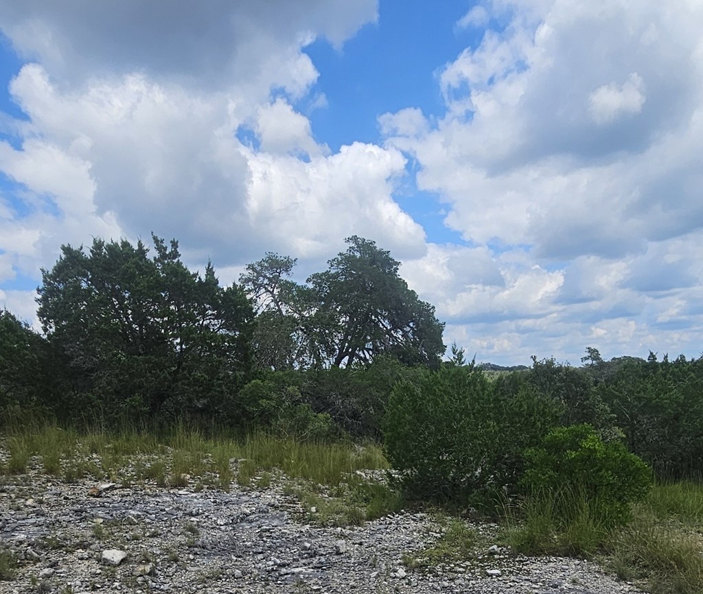 1862 Sd 31846 Rocksprings, TX 78880 - Photo 13 of 32 a view of a lake in middle of forest