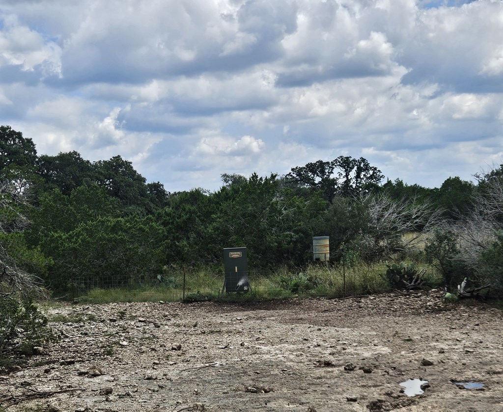 1862 Sd 31846 Rocksprings, TX 78880 - Photo 14 of 32 a view of a yard with plants and large trees
