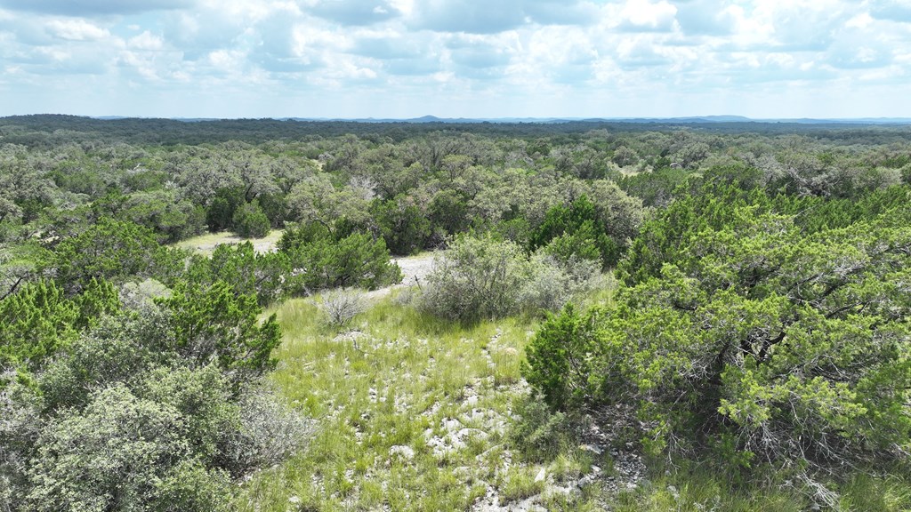 1862 Sd 31846 Rocksprings, TX 78880 - Photo 2 of 32 a view of a green field